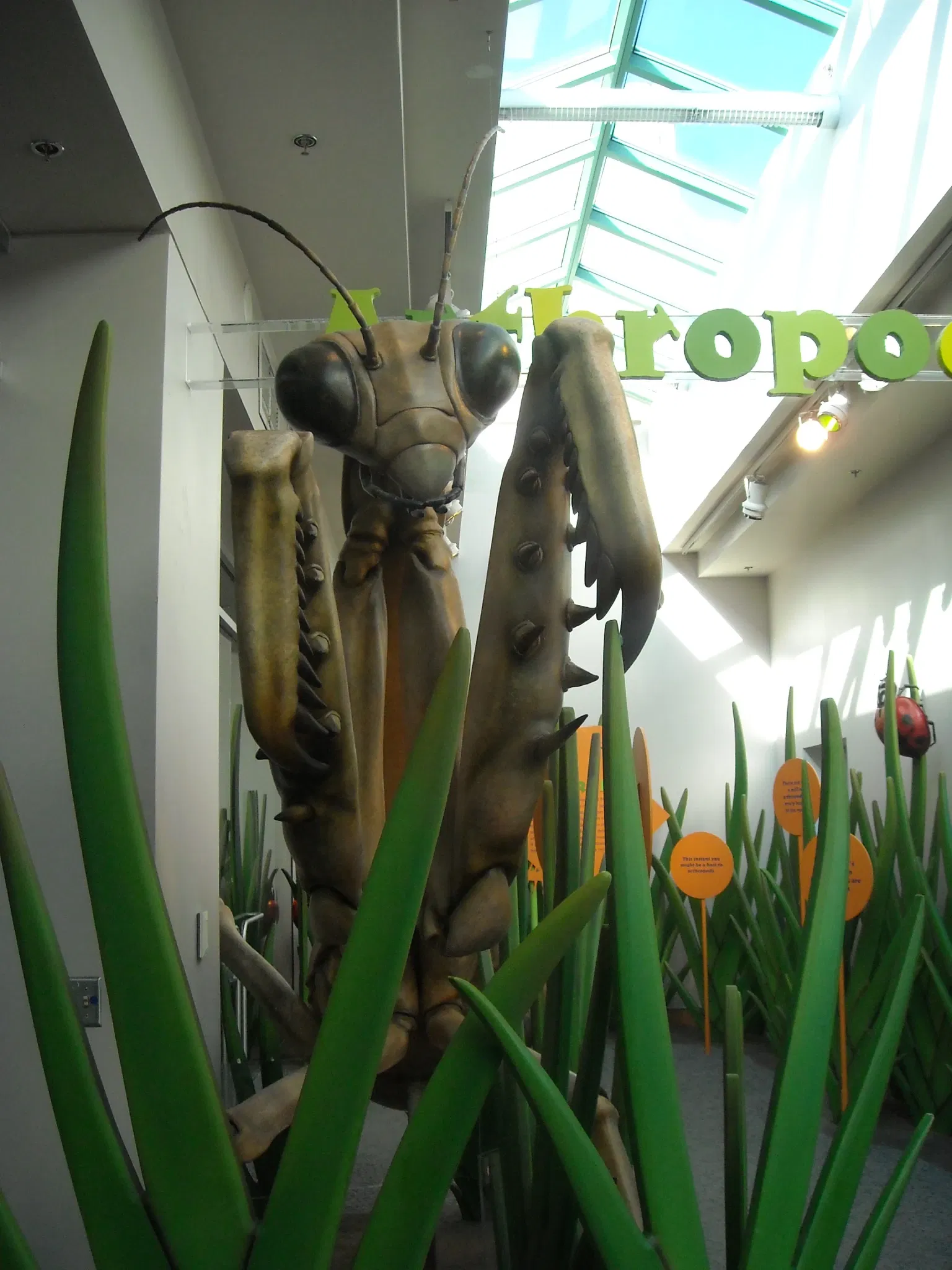 Musée des sciences naturelles de Caroline du Nord