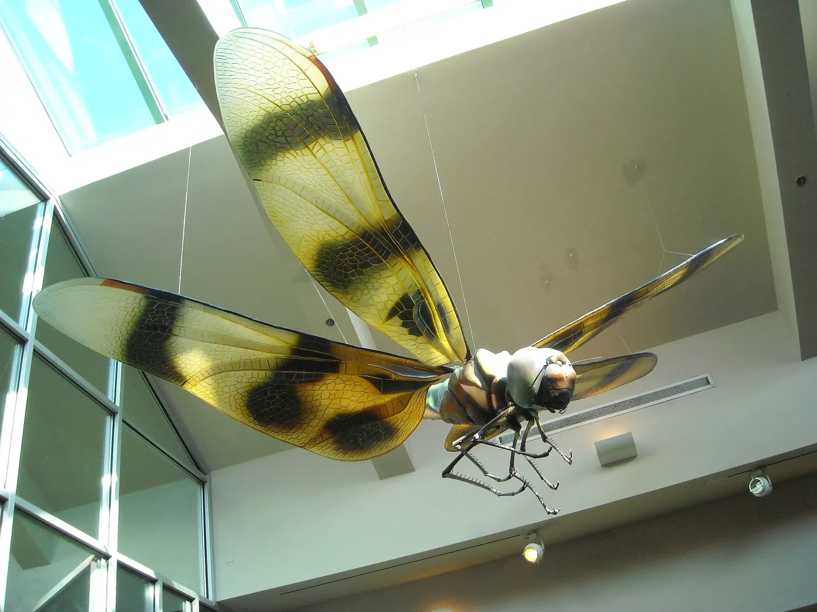 Musée des sciences naturelles de Caroline du Nord