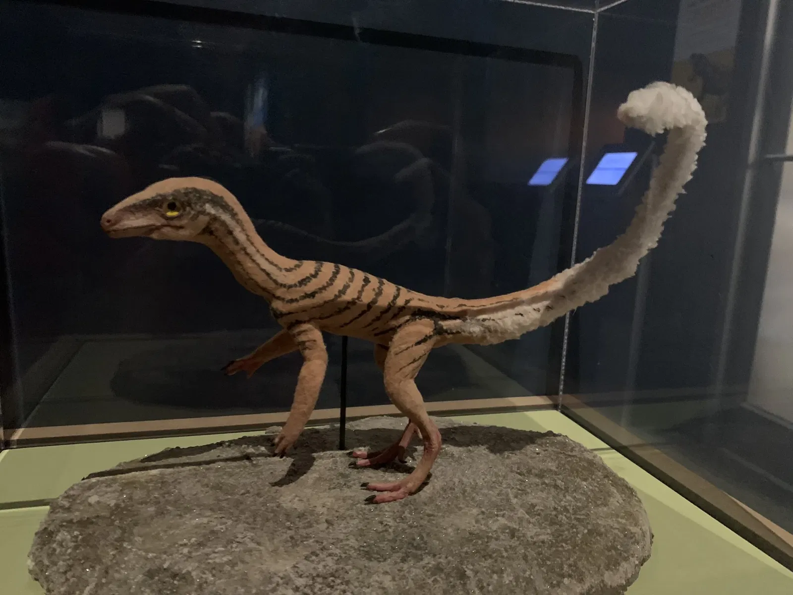 North Carolina Museum of Natural Sciences