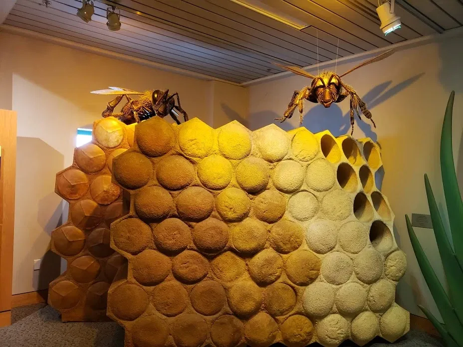 North Carolina Museum of Natural Sciences