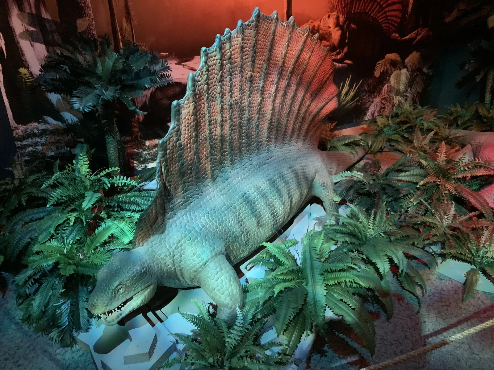 North Carolina Museum of Natural Sciences