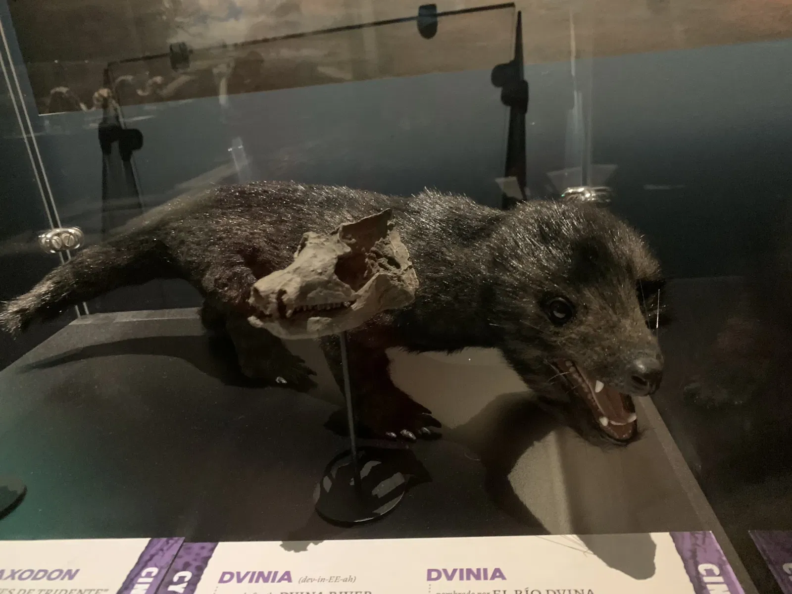 North Carolina Museum of Natural Sciences