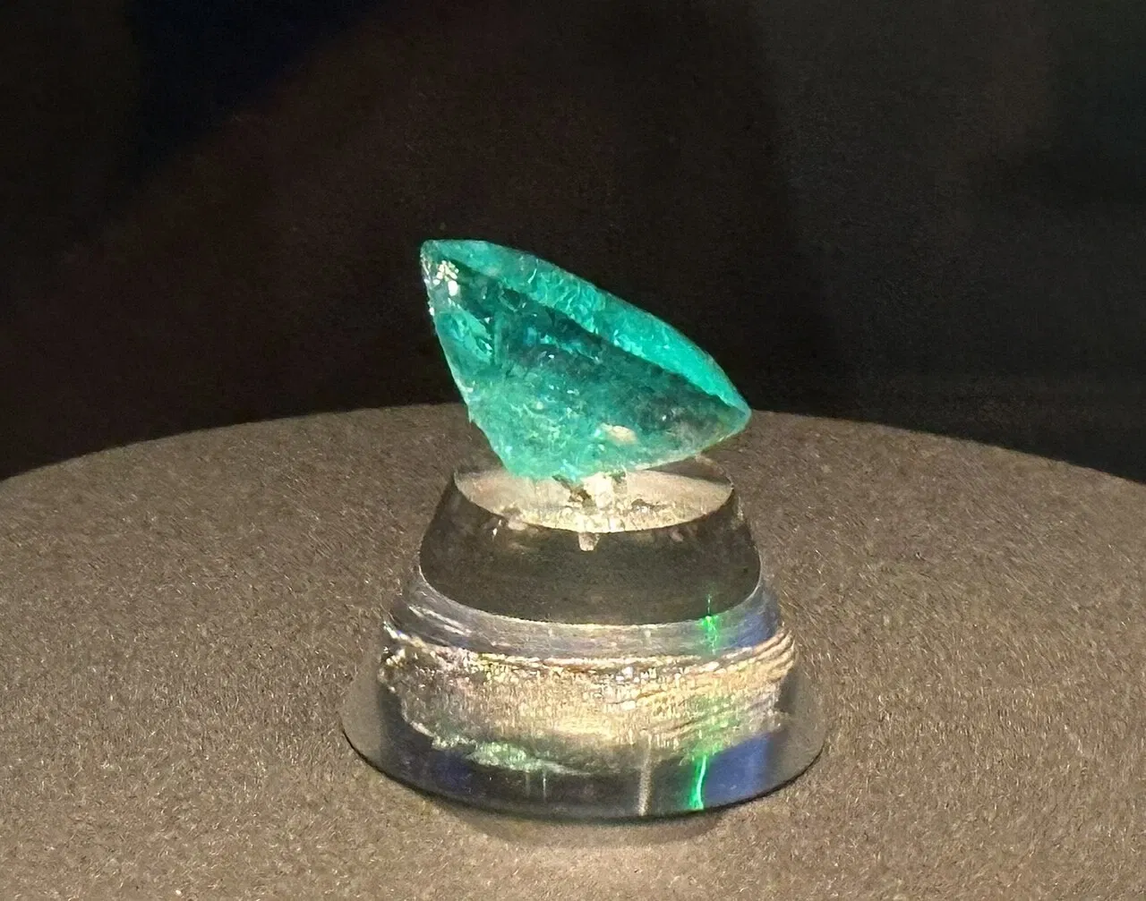 Musée des sciences naturelles de Caroline du Nord