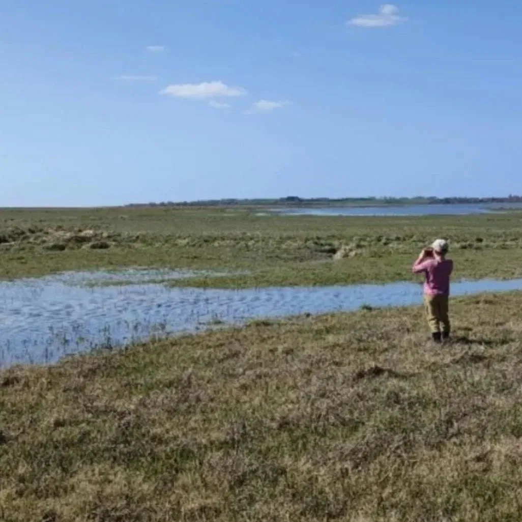 A Baai - Landschappen