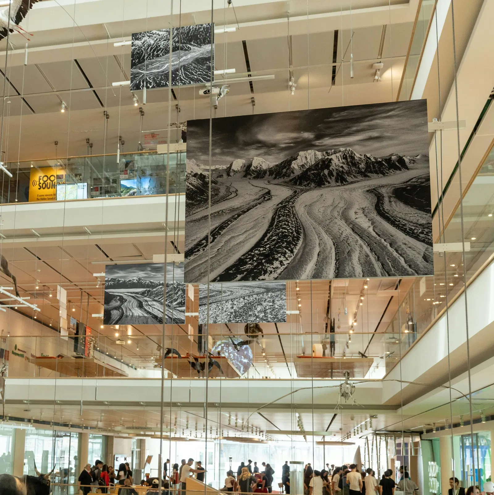 Gletscher: Sebastião Salgado