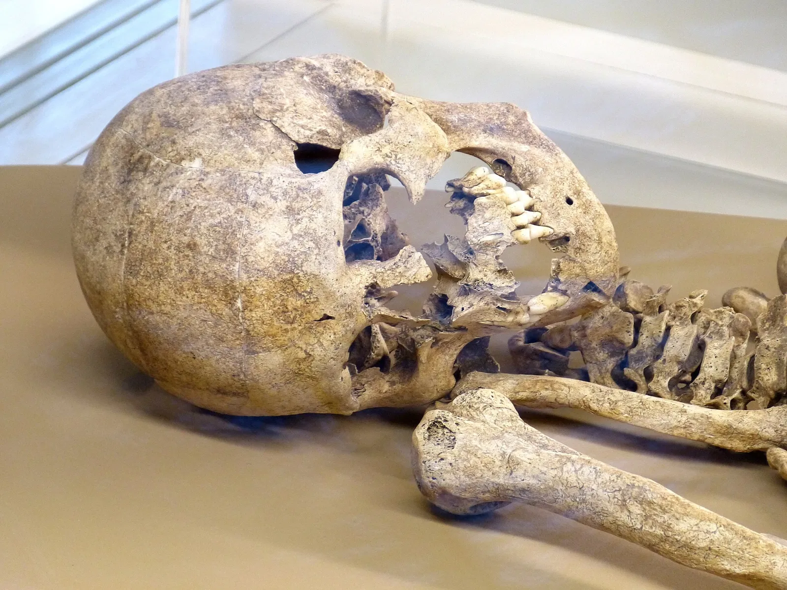 Archaeological Museum Kelheim