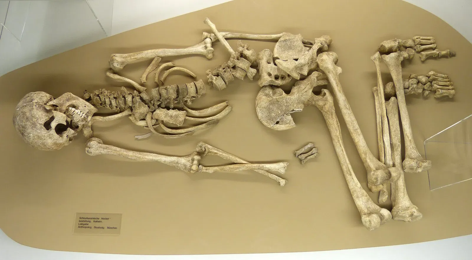 Archaeological Museum Kelheim