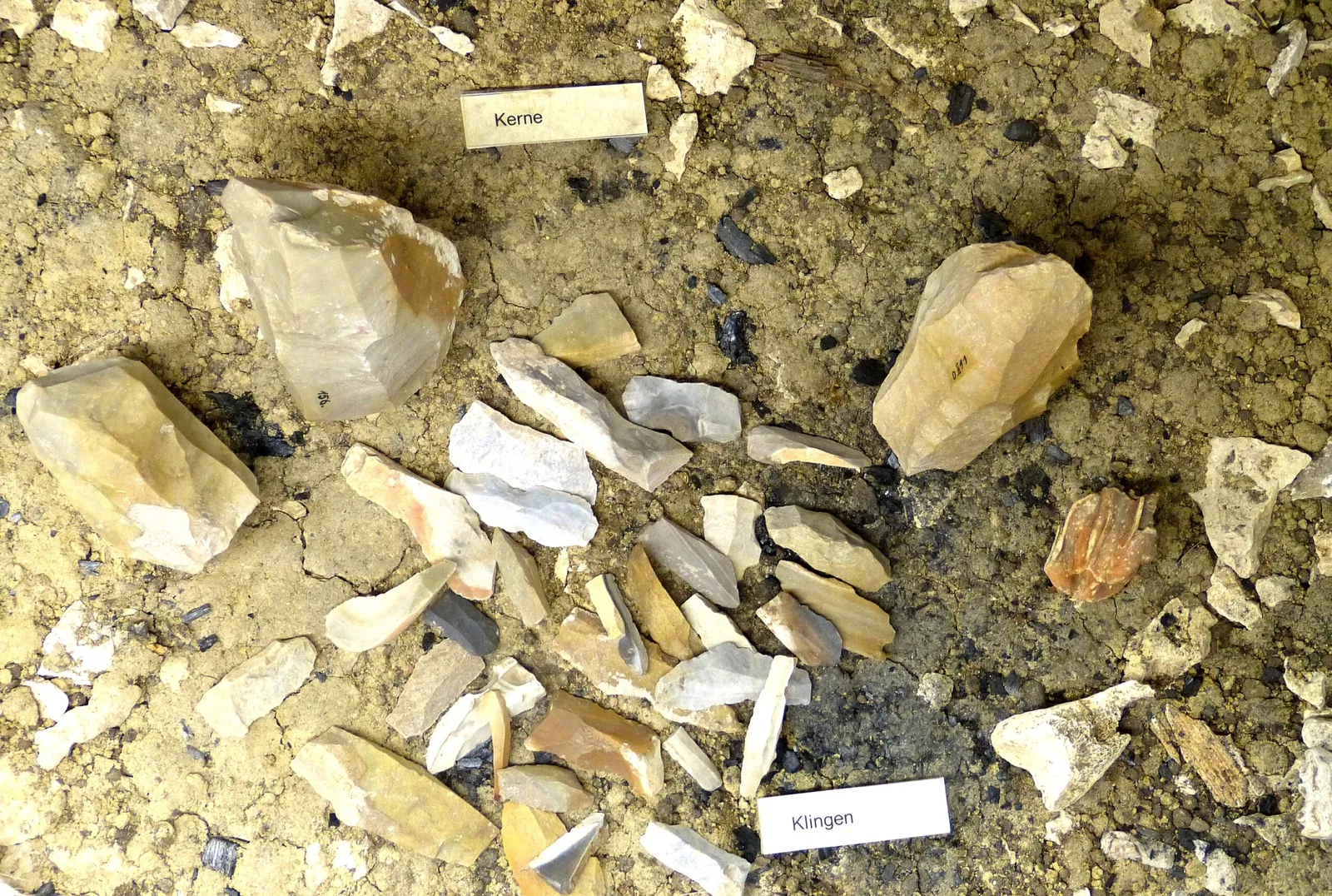 Archaeological Museum Kelheim