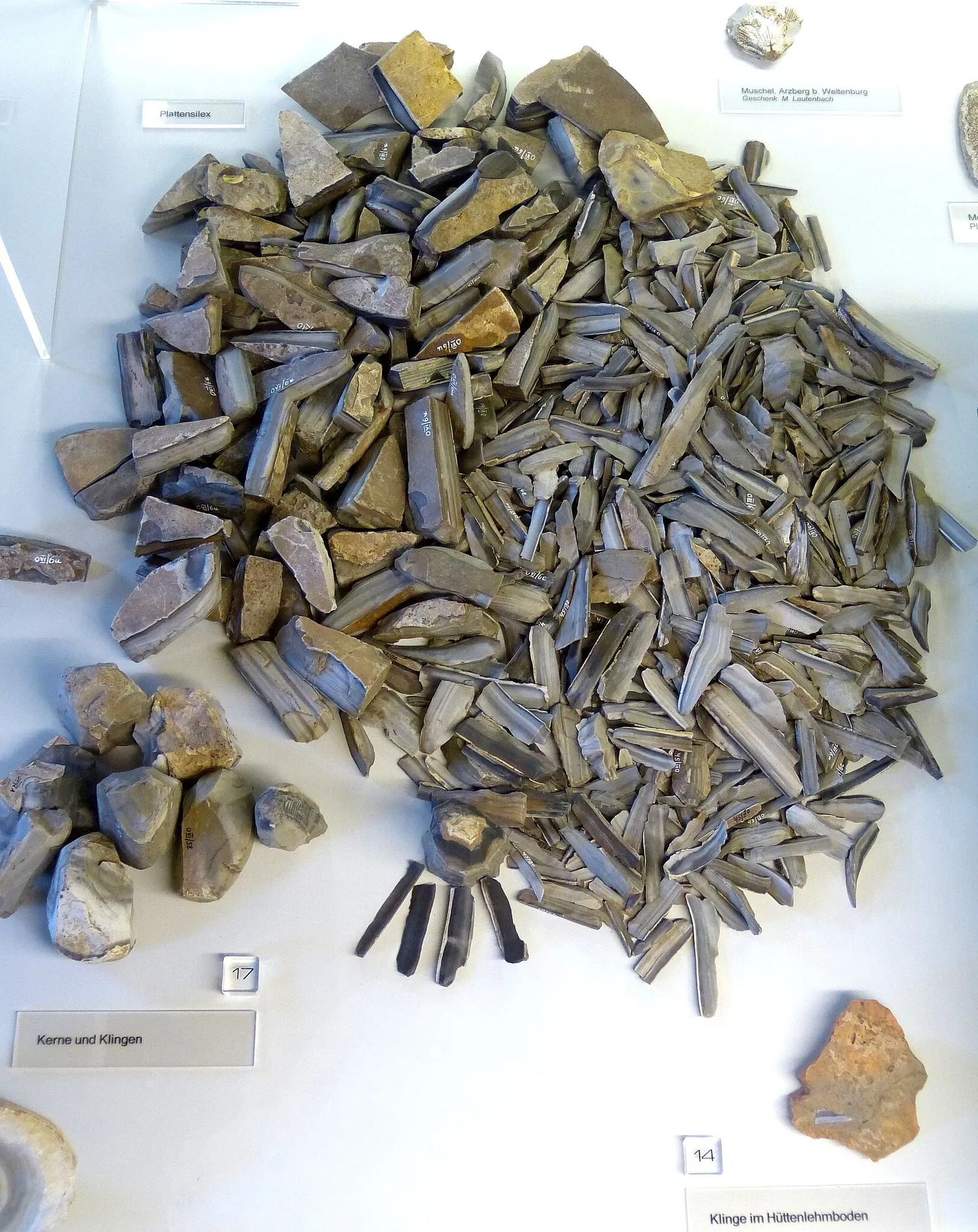 Archäologisches Museum