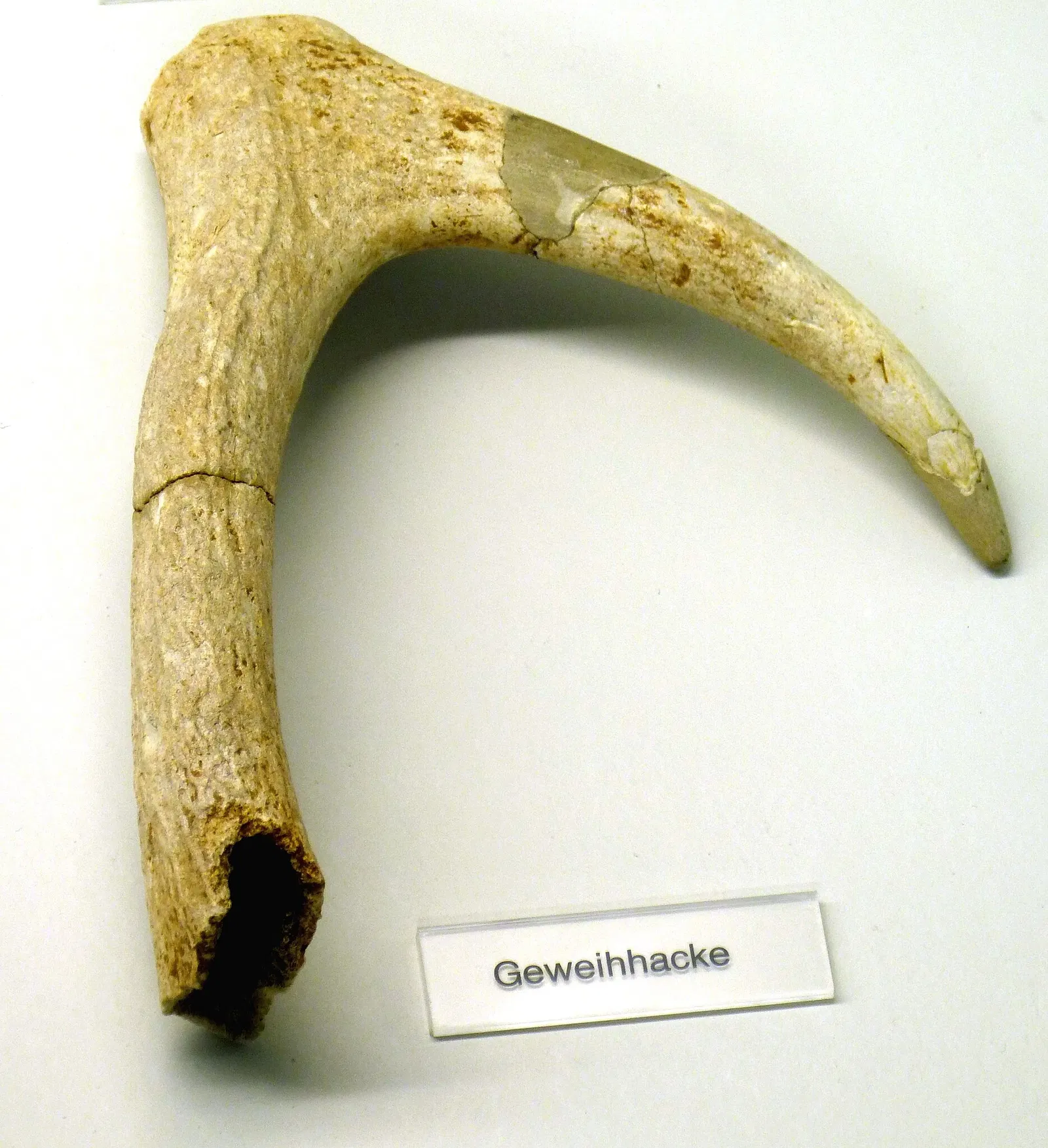 Archäologisches Museum