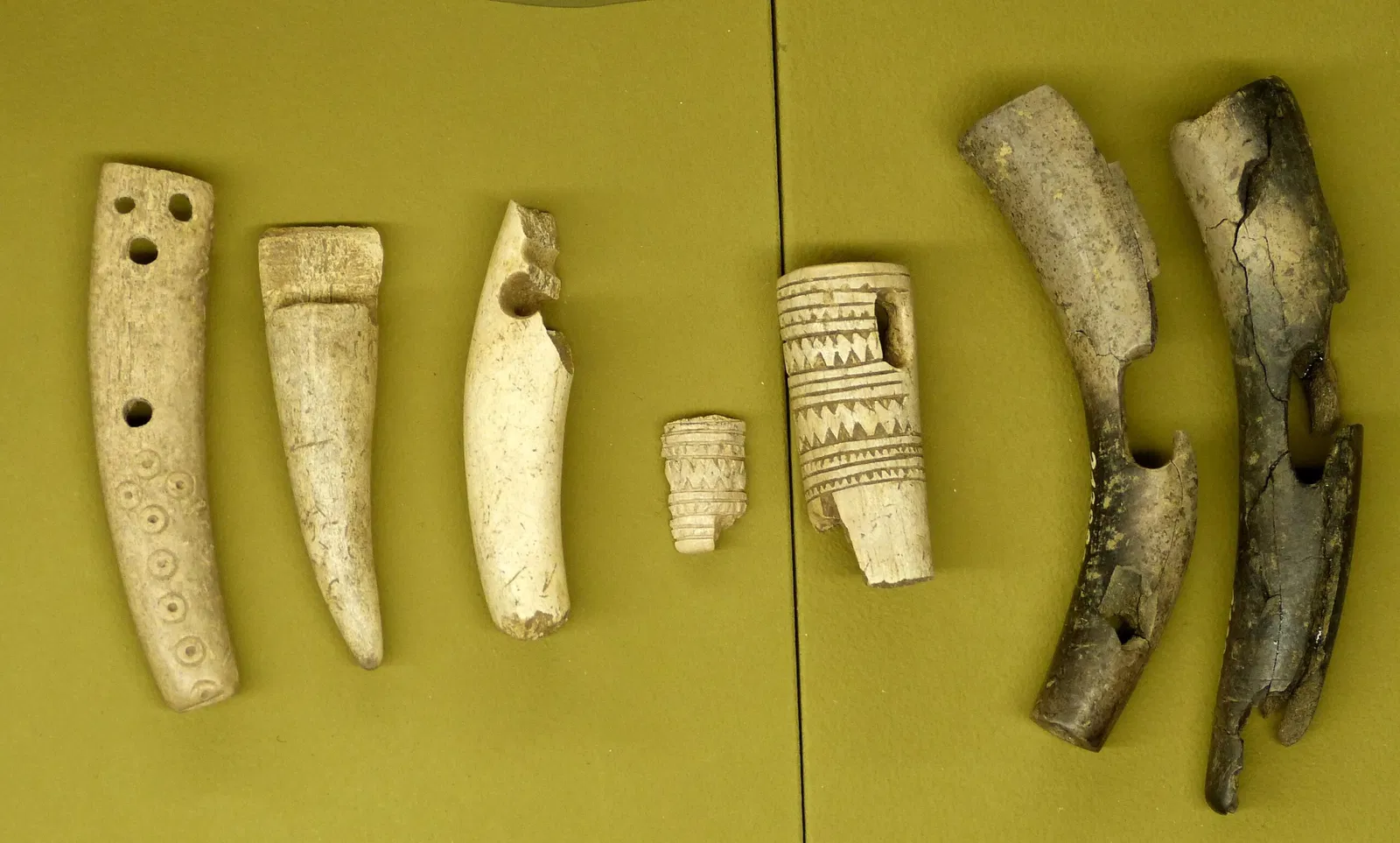 Archäologisches Museum