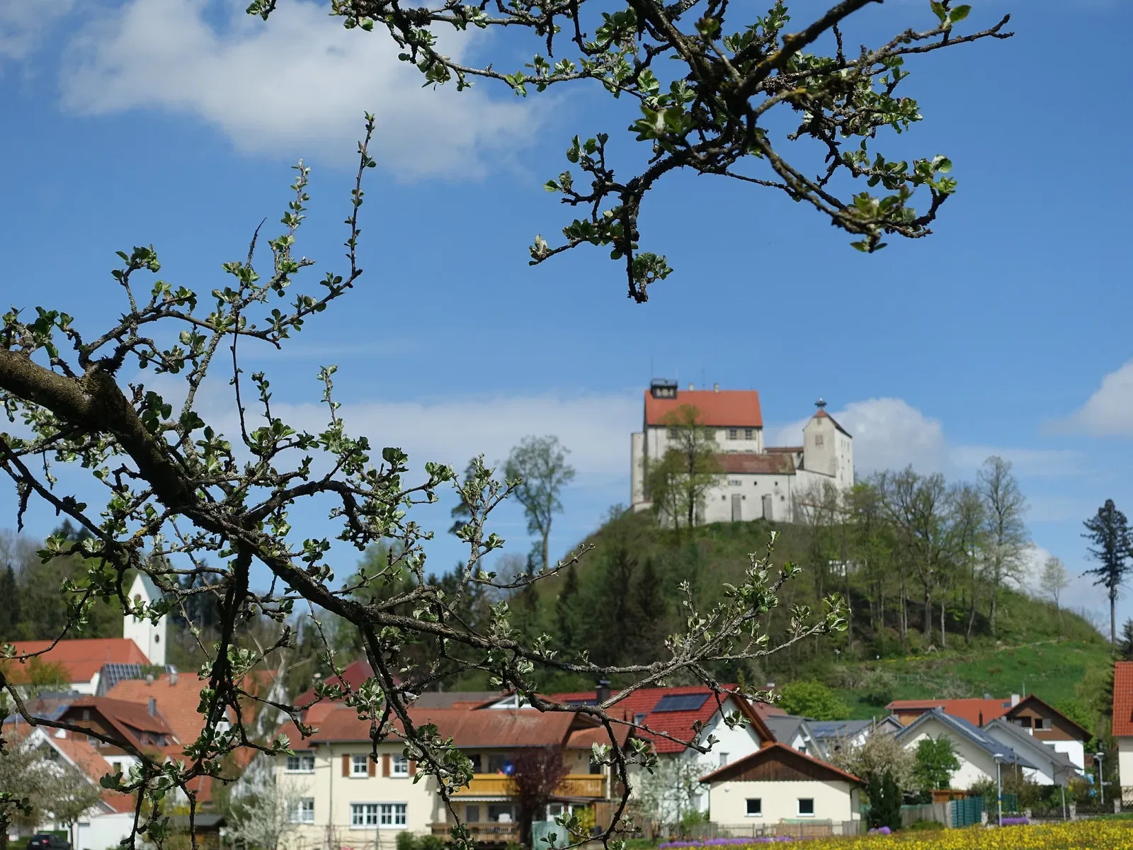 Schloss Waldburg