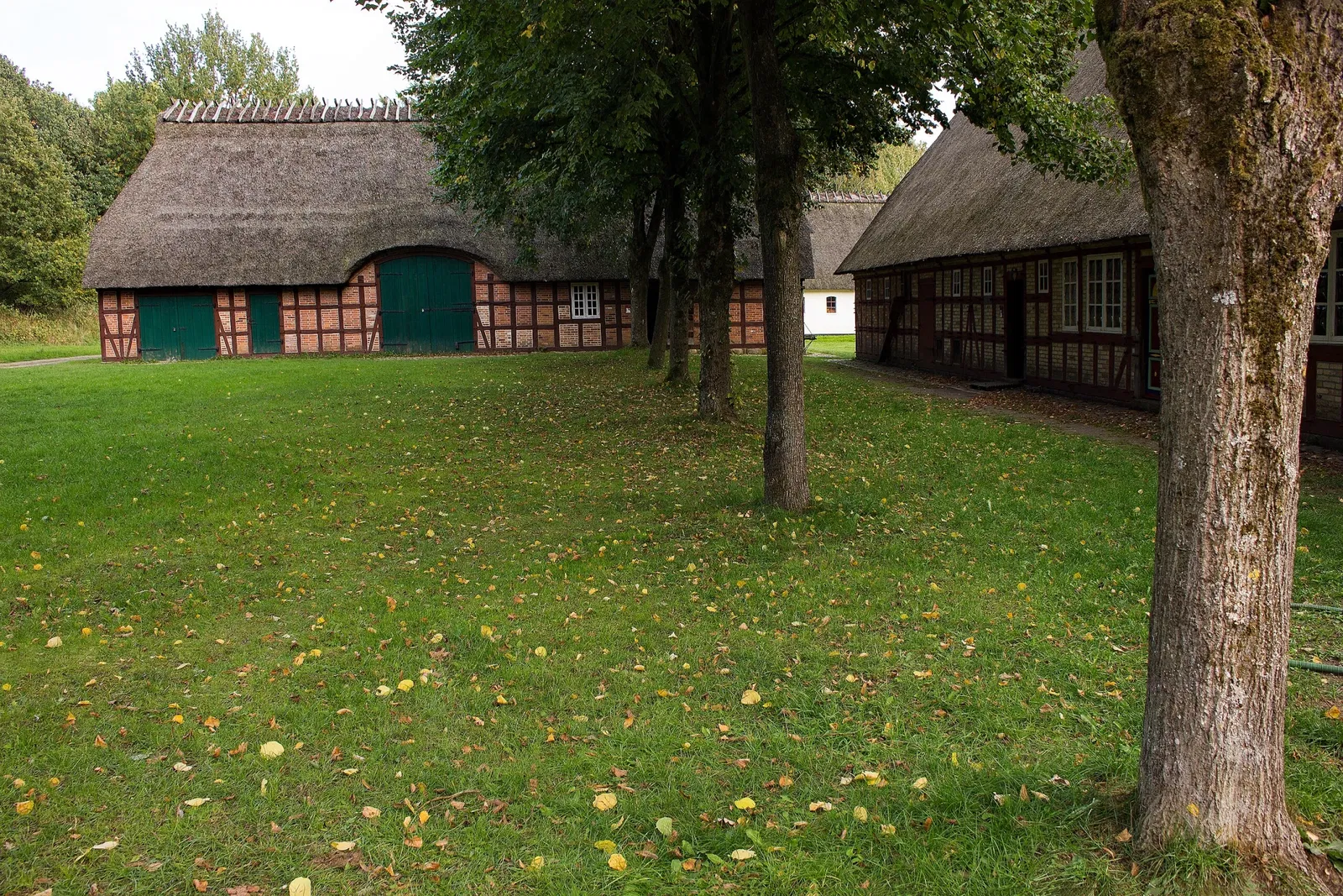 Freilichtmuseum Molfsee