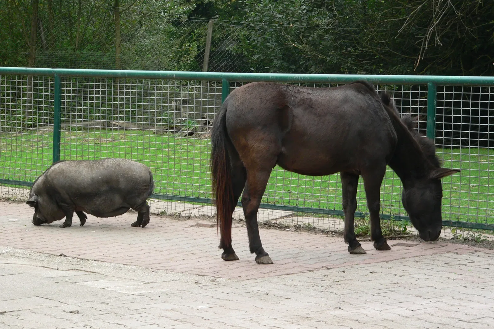 Tierpark Schwaigern