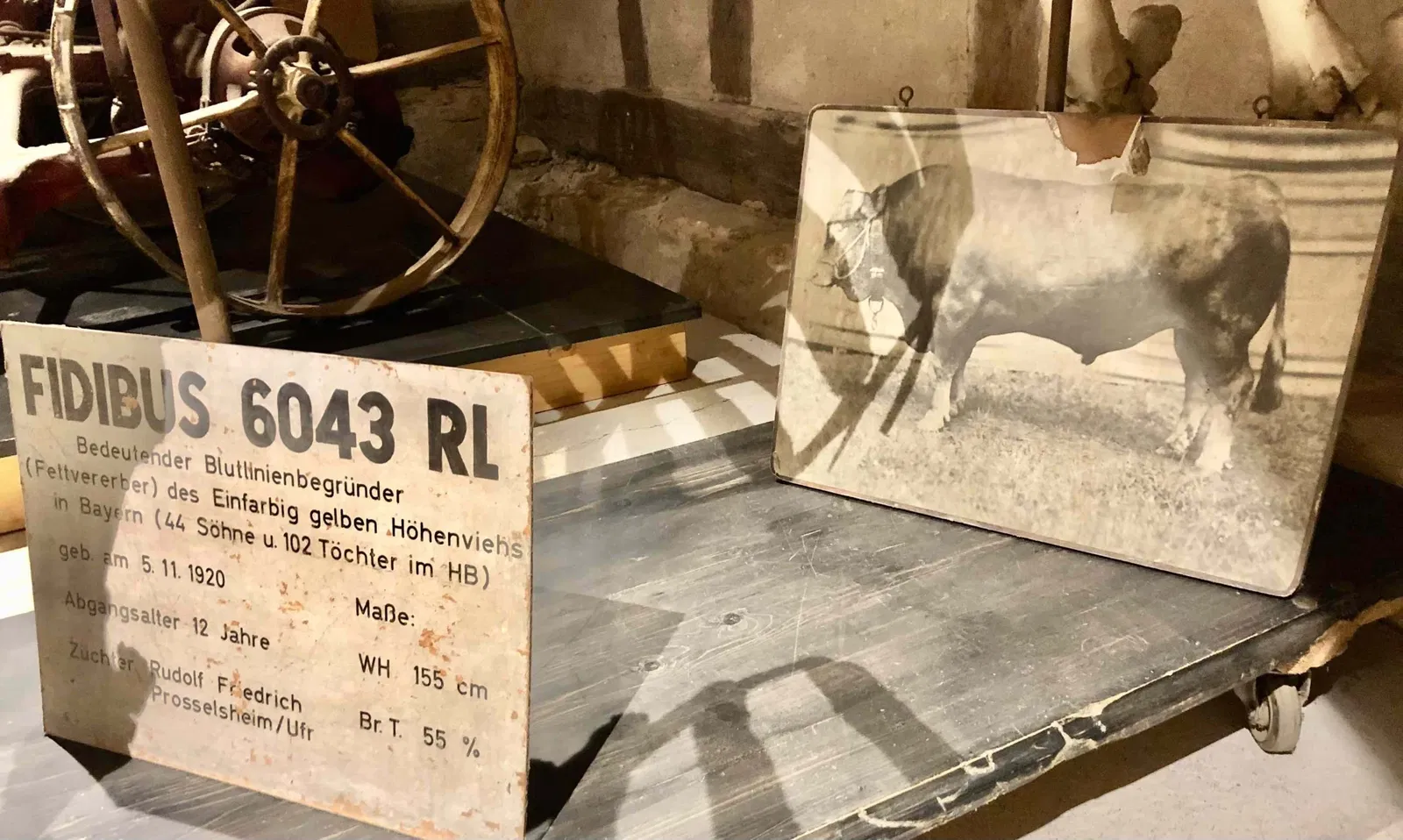 Freilandmuseum Kirchenburg Mönchsondheim