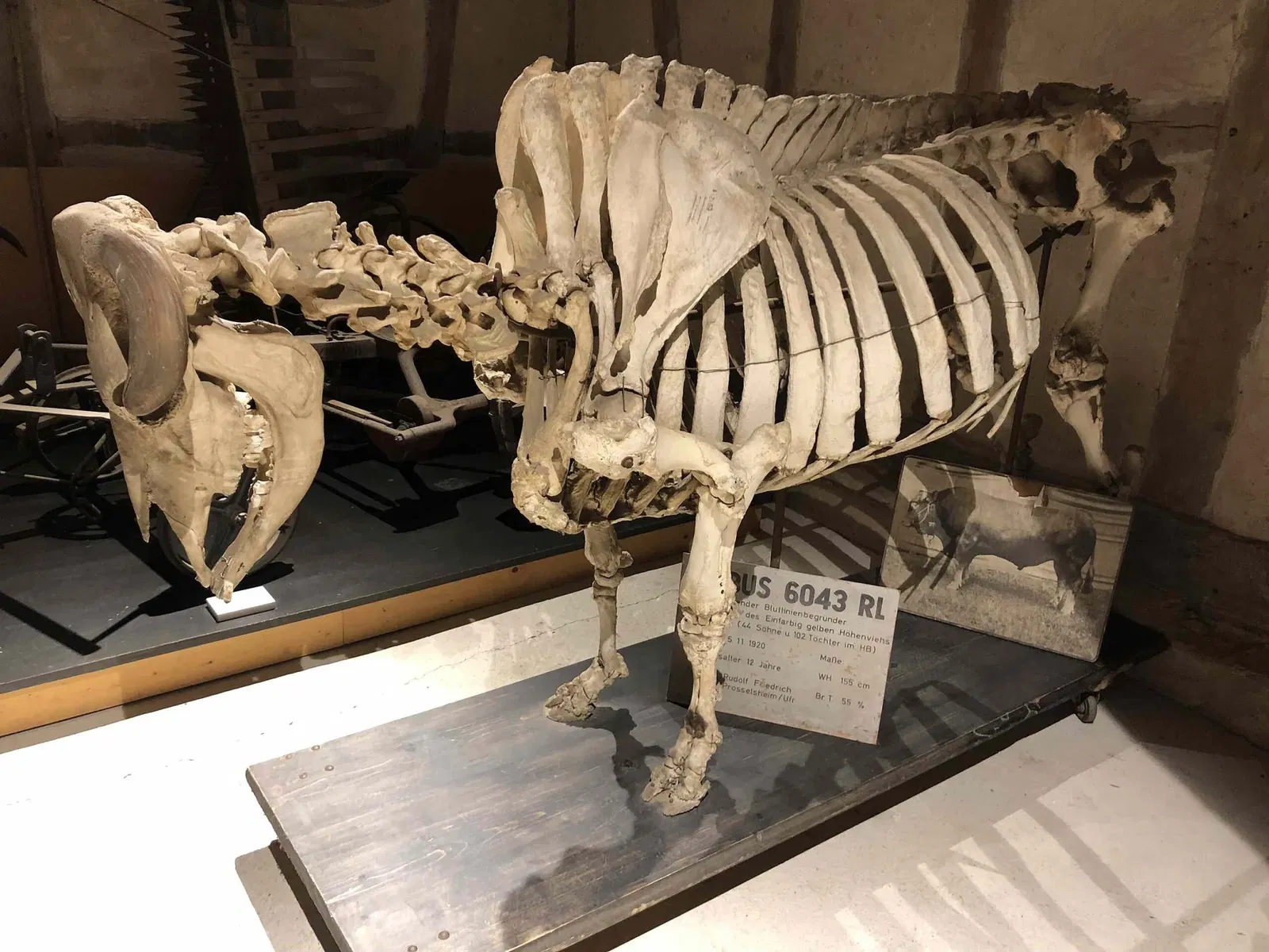 Freilandmuseum Kirchenburg Mönchsondheim