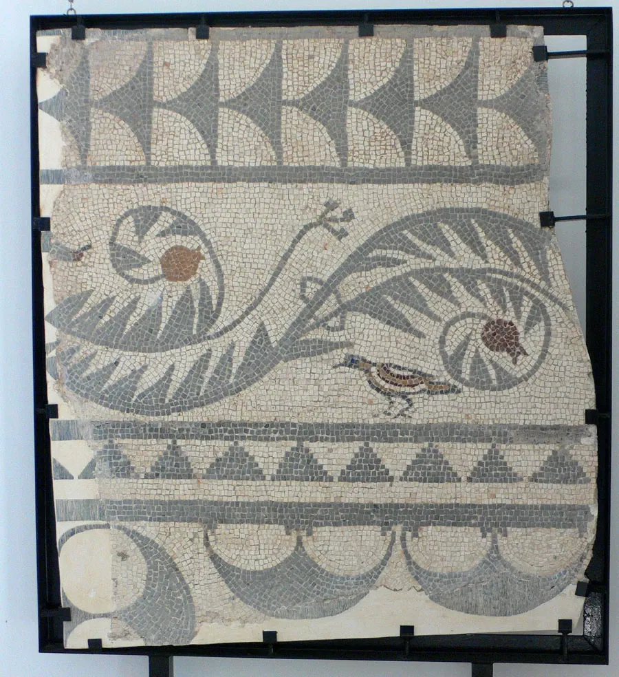 Portman Archaeological Museum