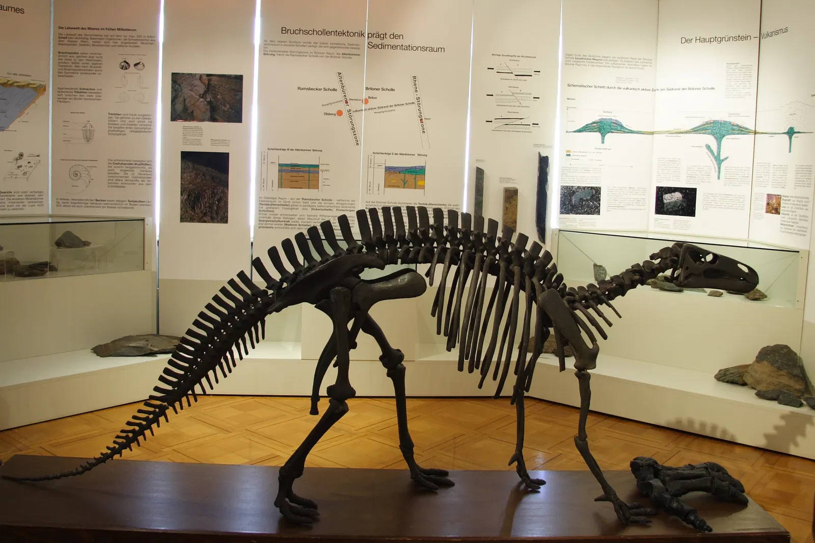 Museum Haus Hövener