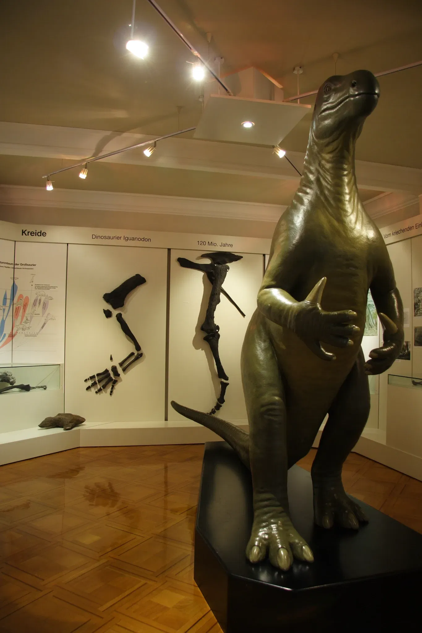 Museum Haus Hövener