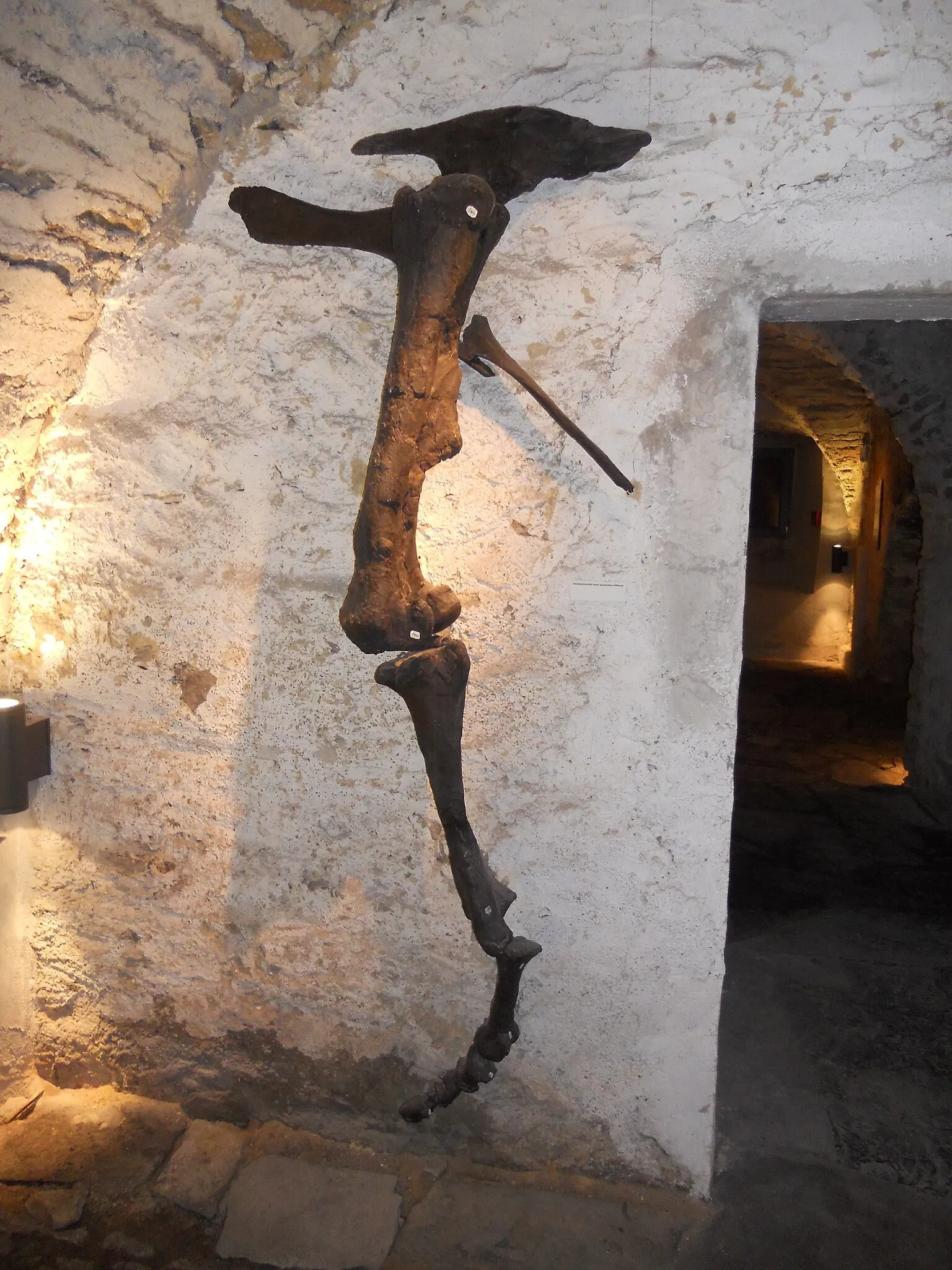 Museum Haus Hövener