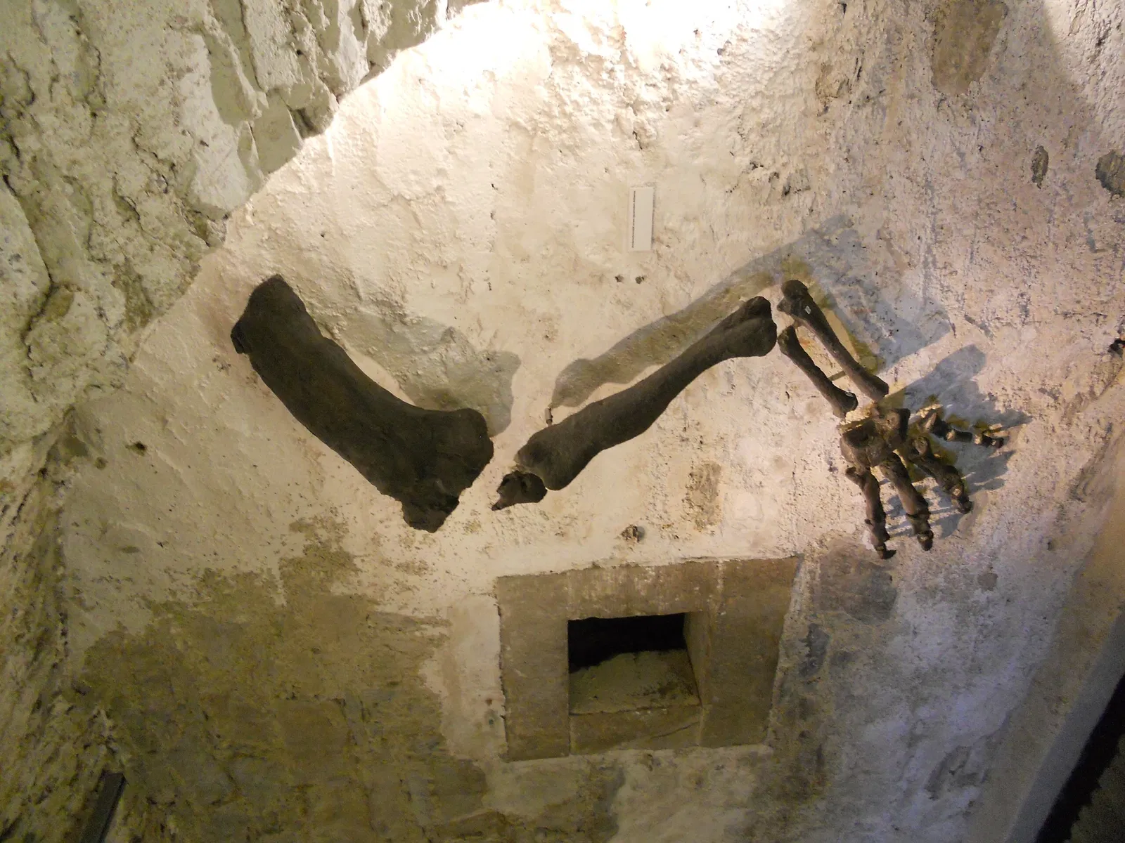 Museum Haus Hövener