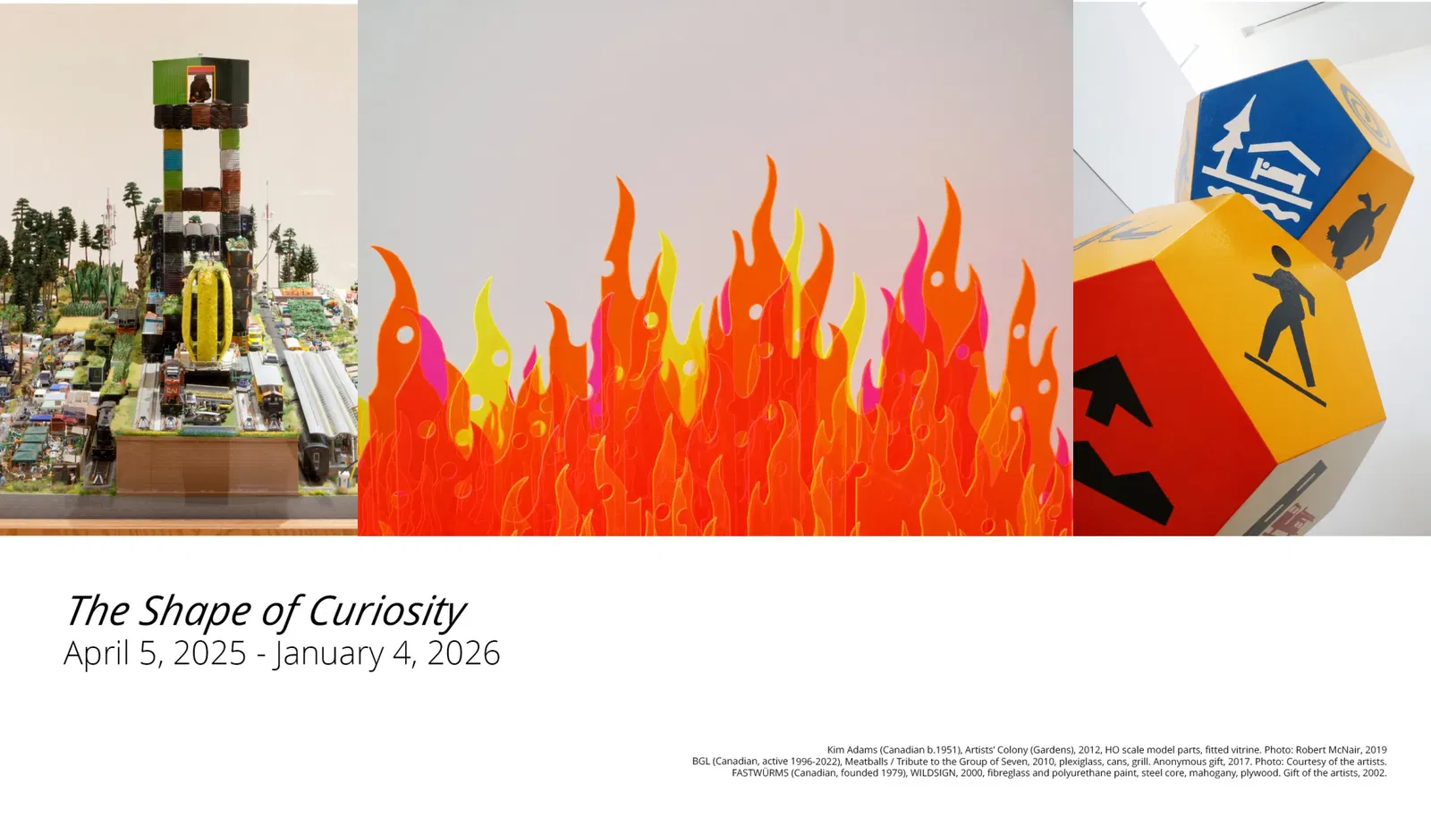 The Shape of Curiosity