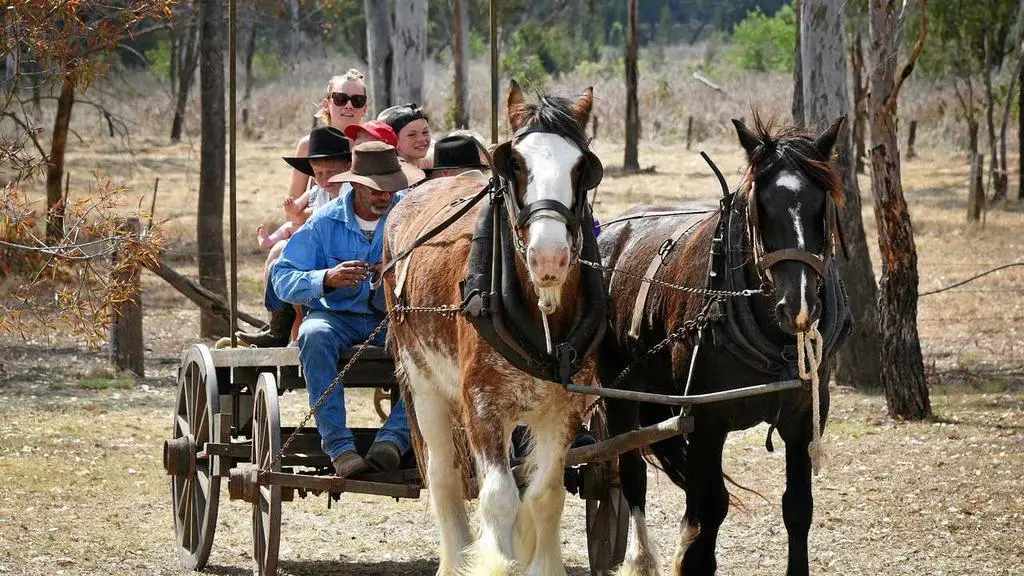Monto Historical and Cultural Centre • Peter