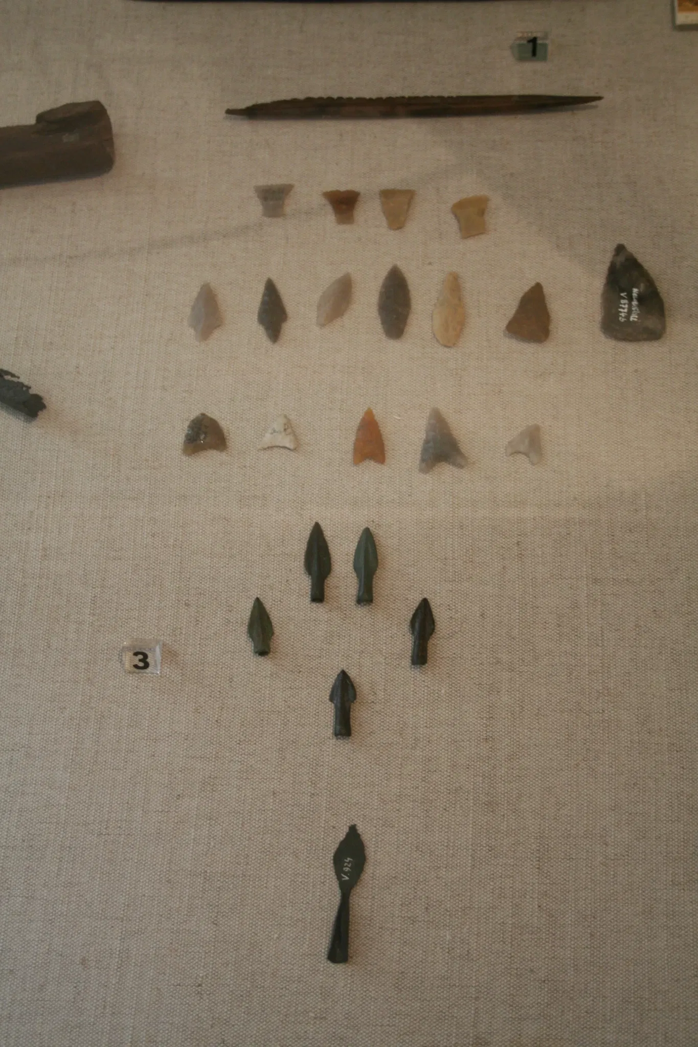 Johann-Friedrich-Danneil-Museum