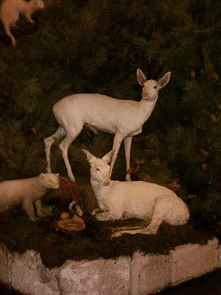 Carl-Schweizer-Museum