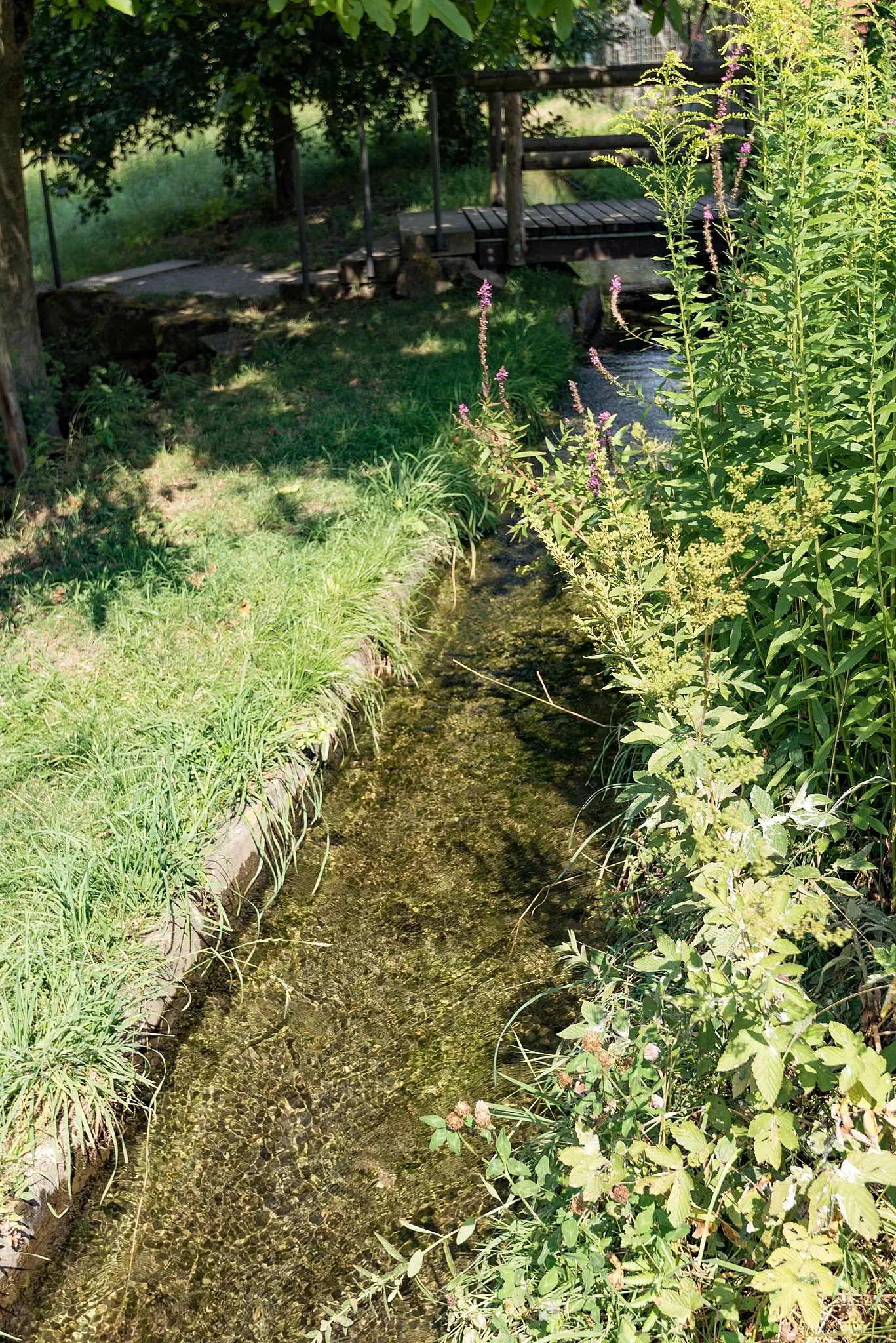 Papiermühle Homburg