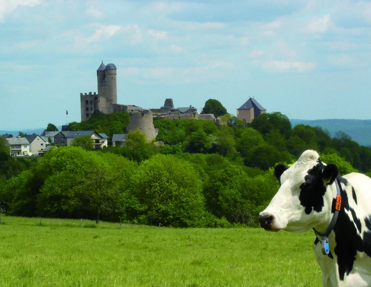 Castillo de Greifenstein (Hesse)
