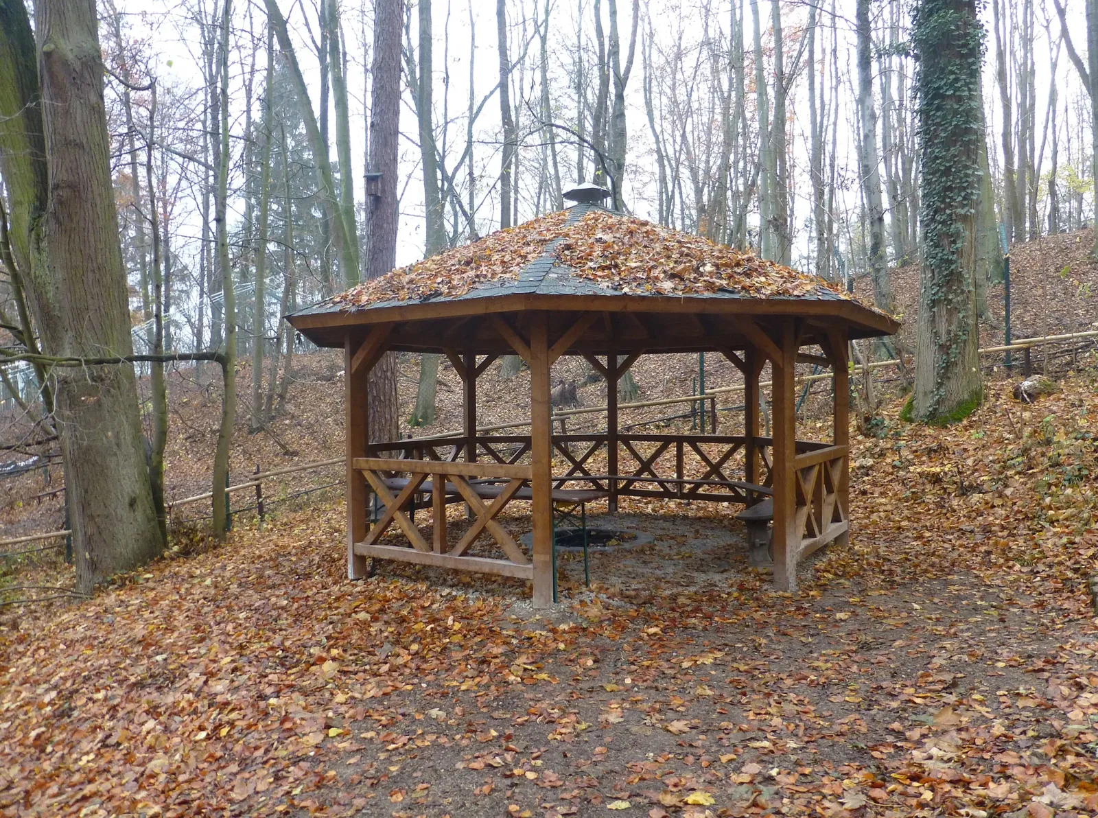 Alternativer Bärenpark Worbis