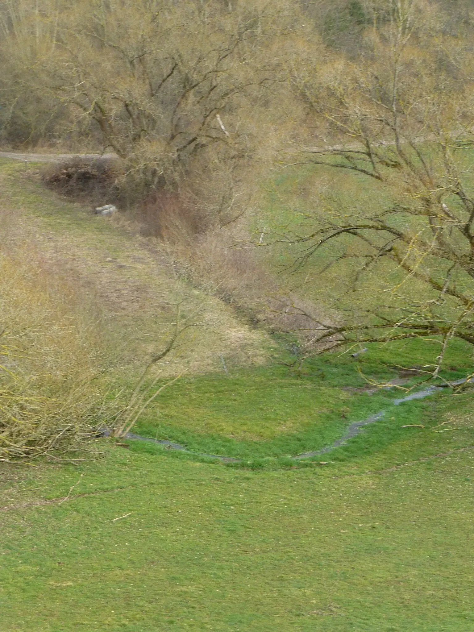 Alternativer Bärenpark Worbis