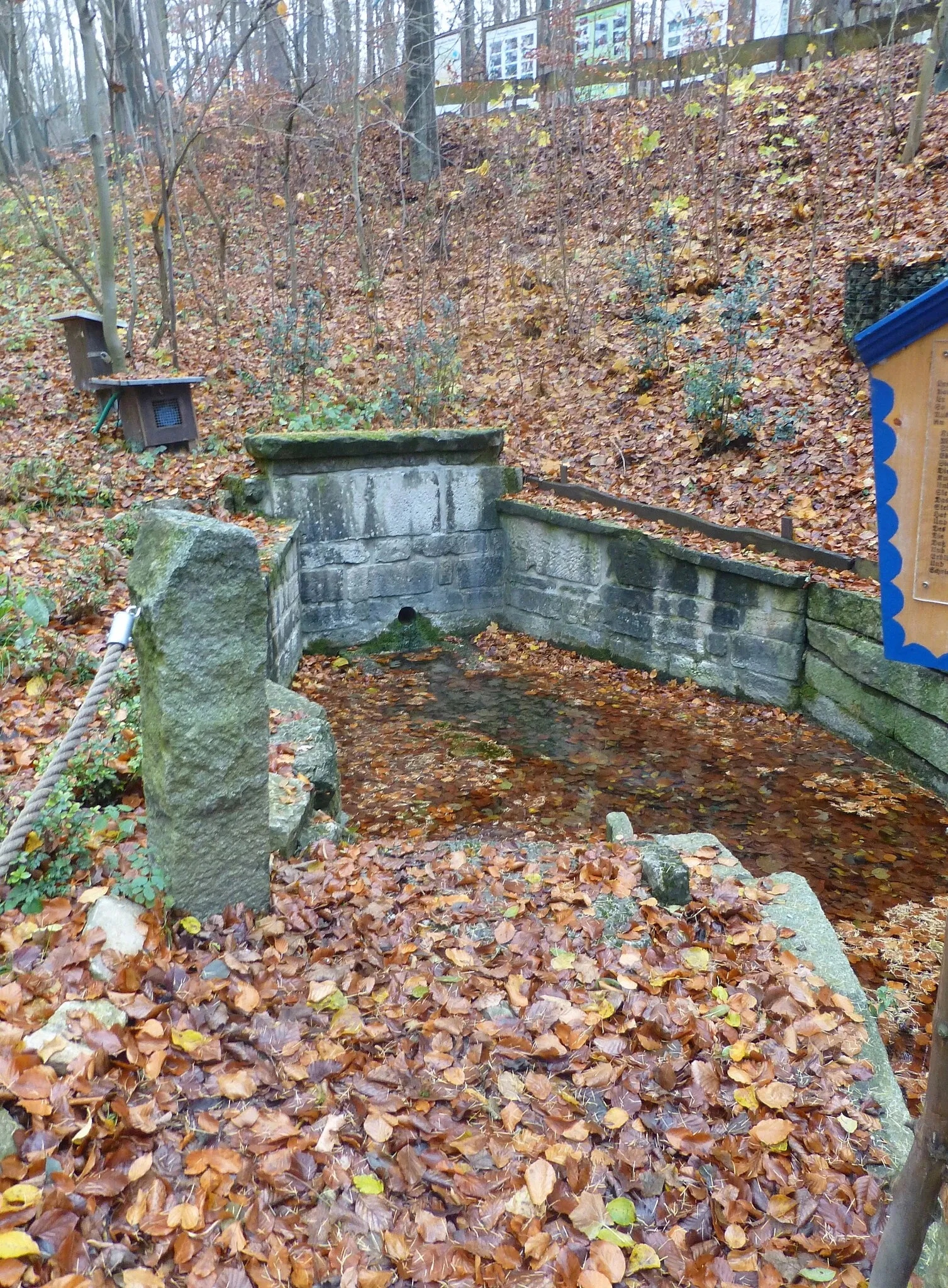 Alternativer Bärenpark Worbis