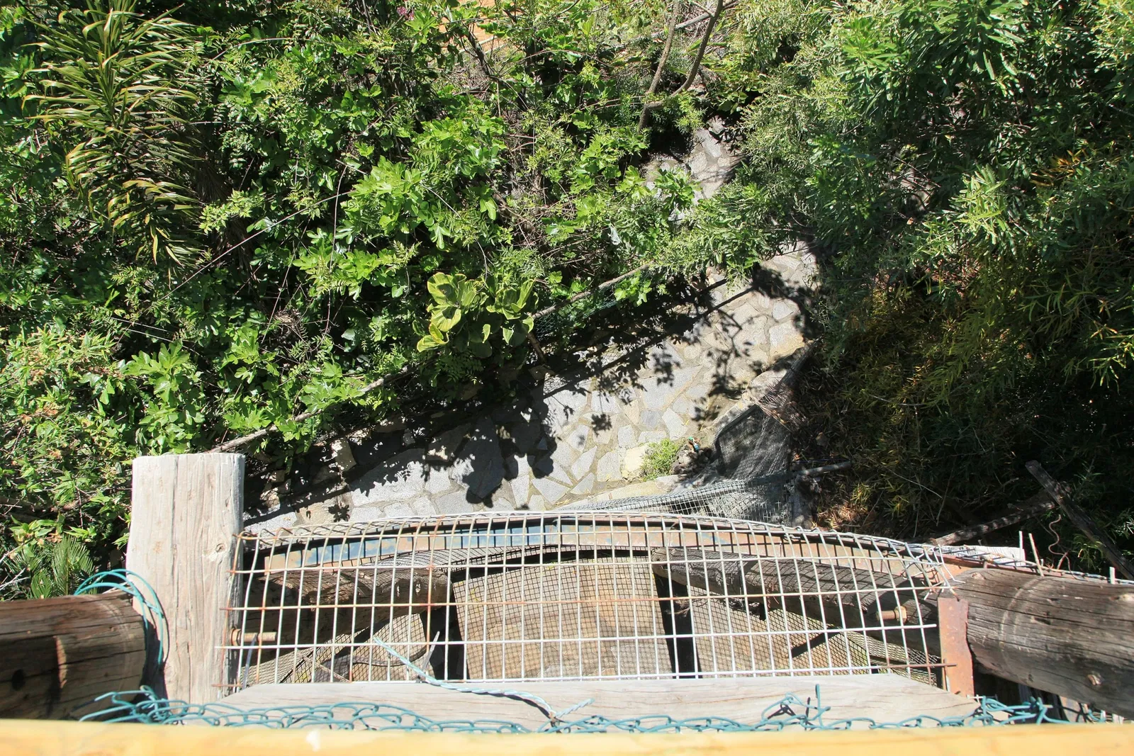 Maroparque Island of La Palma