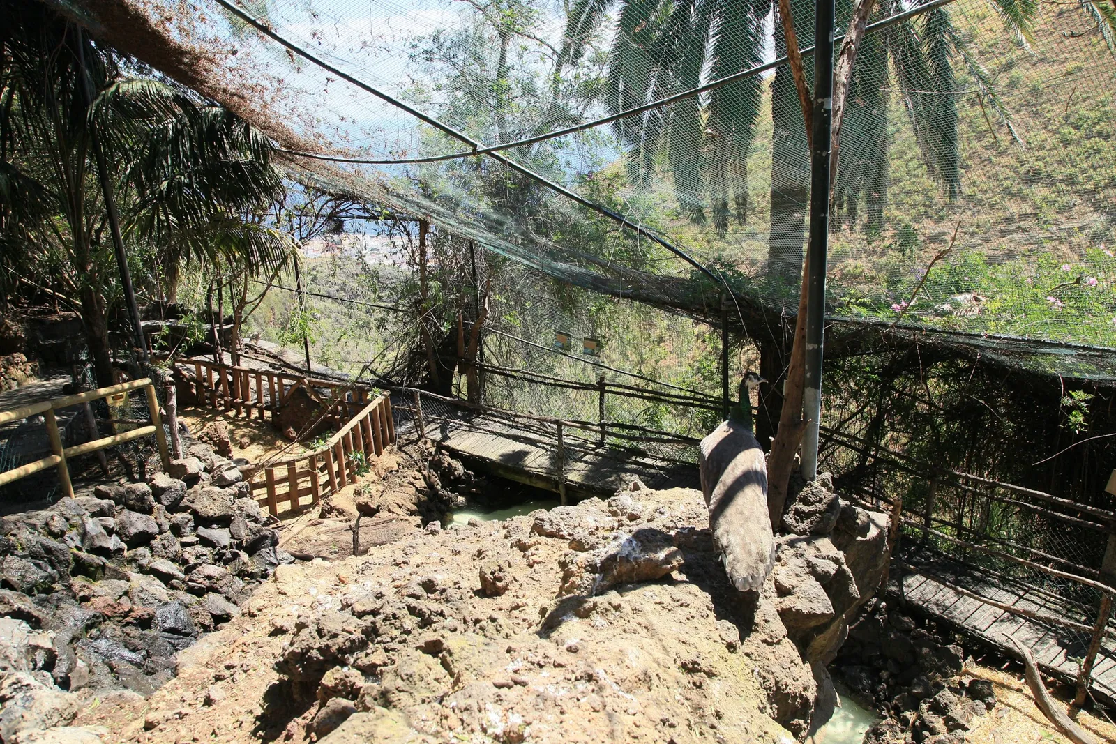 Maroparque Island of La Palma