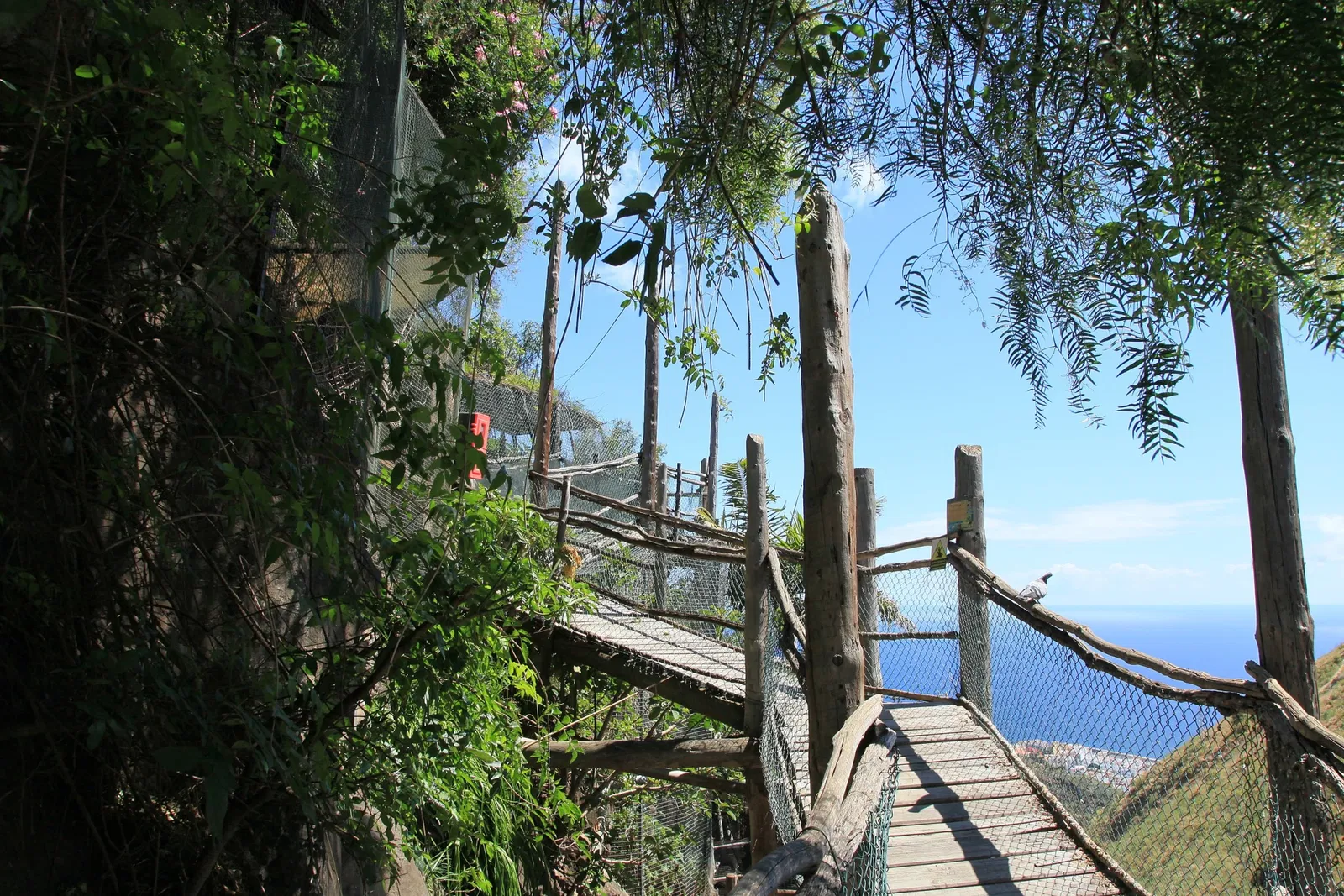 Maroparque Isla de La Palma