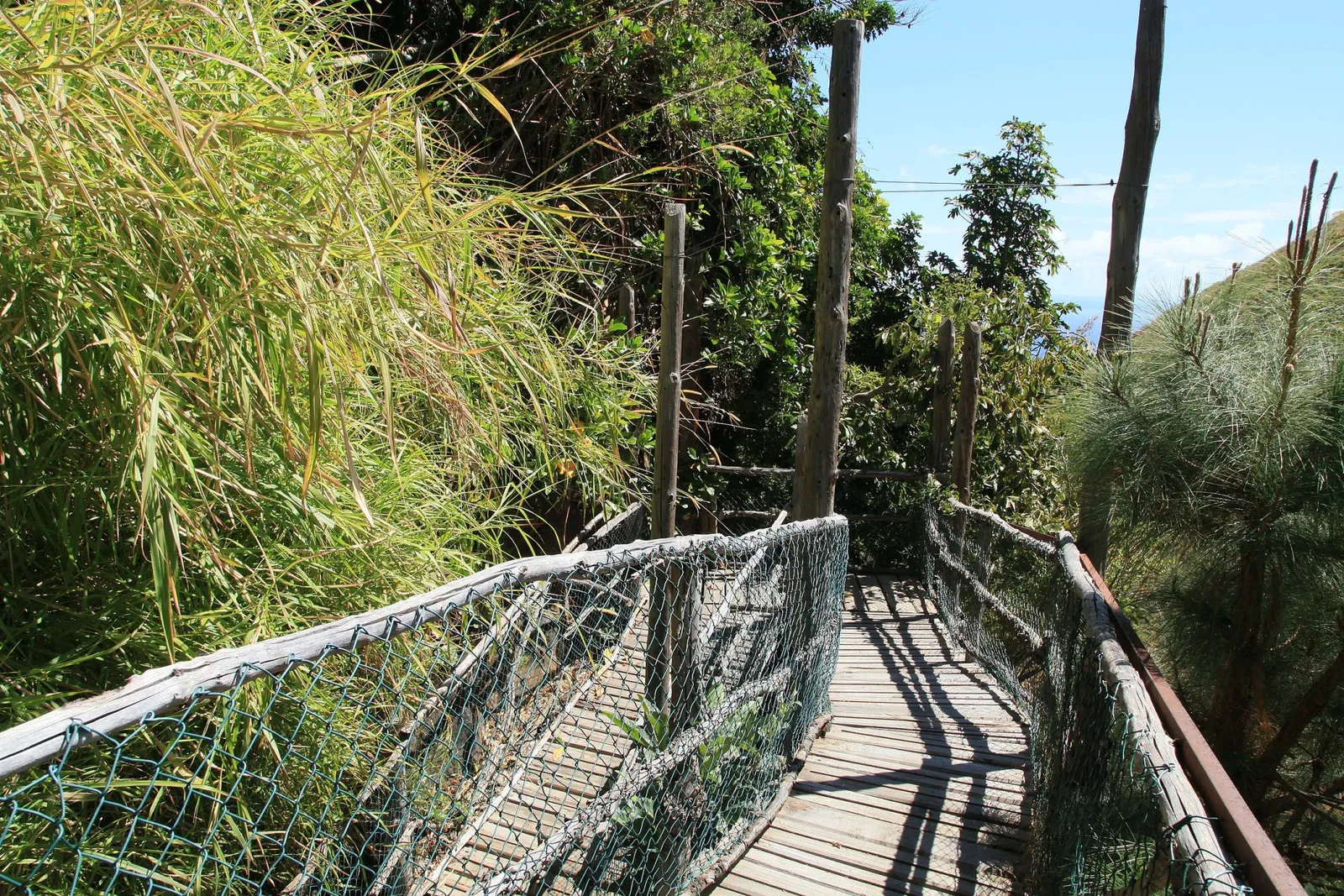 Maroparque Isla de La Palma