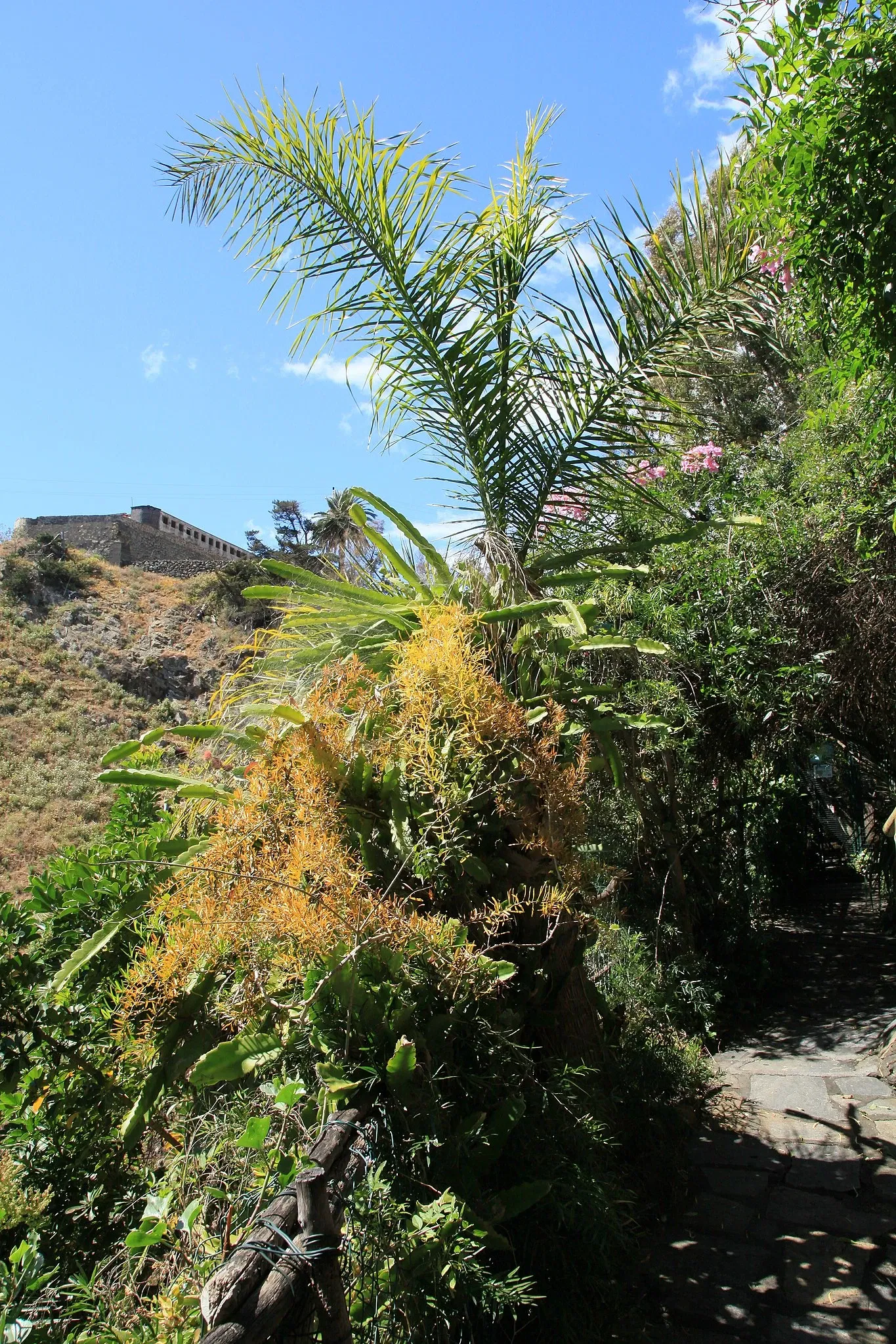 Maroparque Island of La Palma