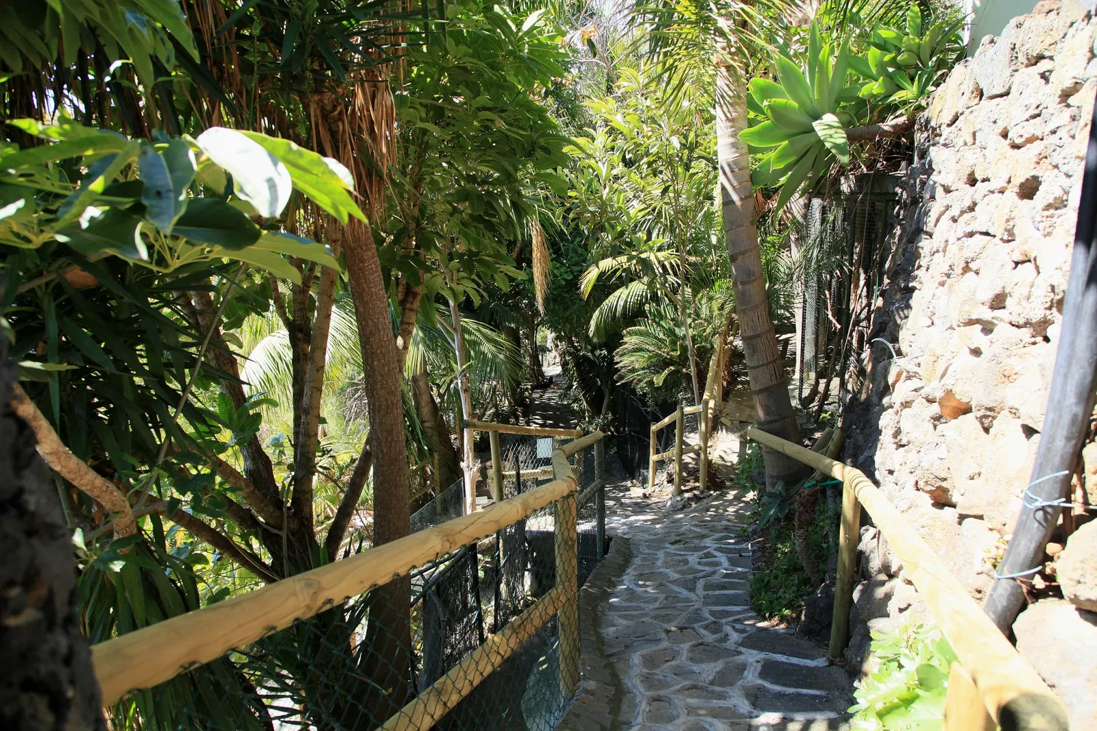 Maroparque Island of La Palma