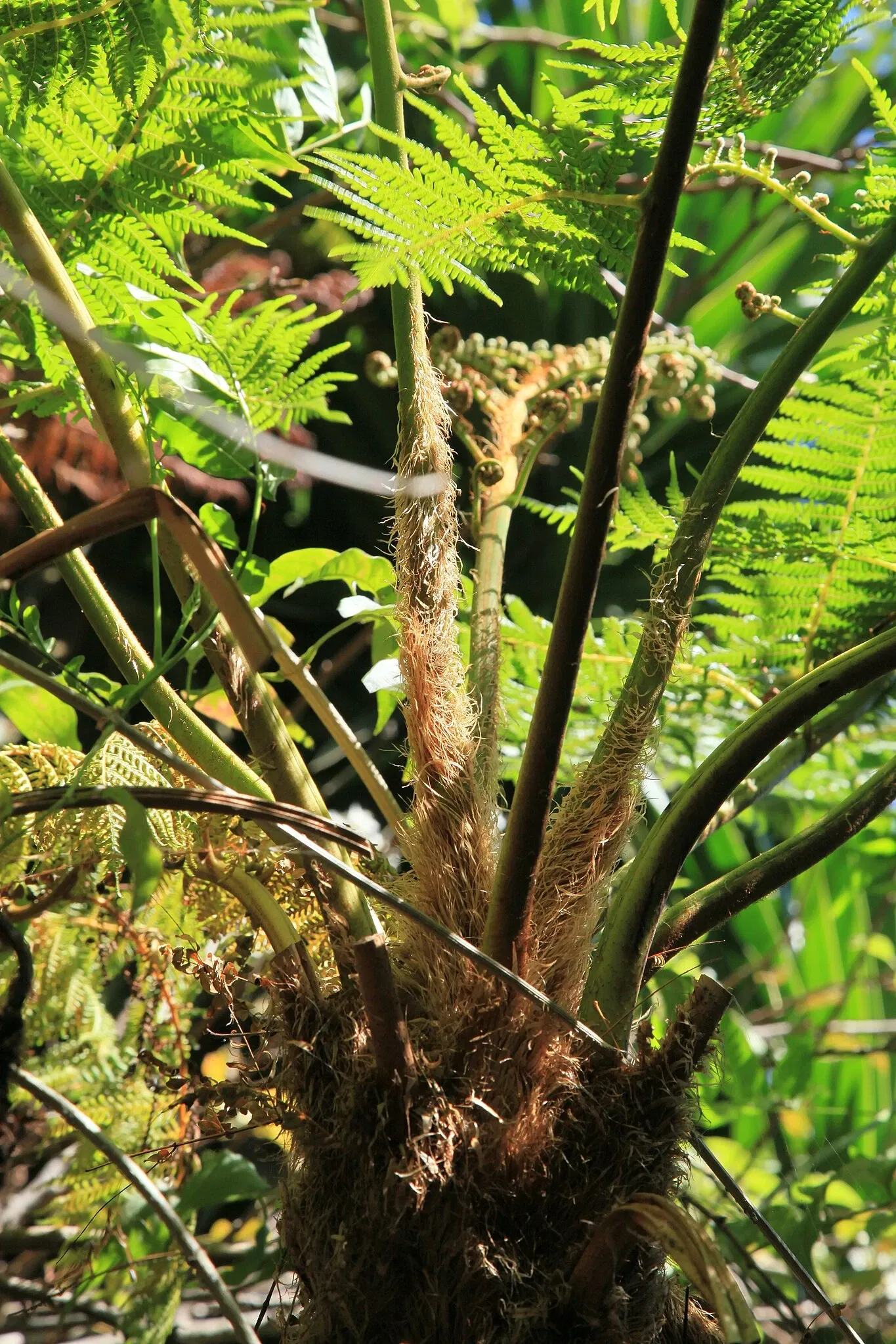 Maroparque Isla de La Palma