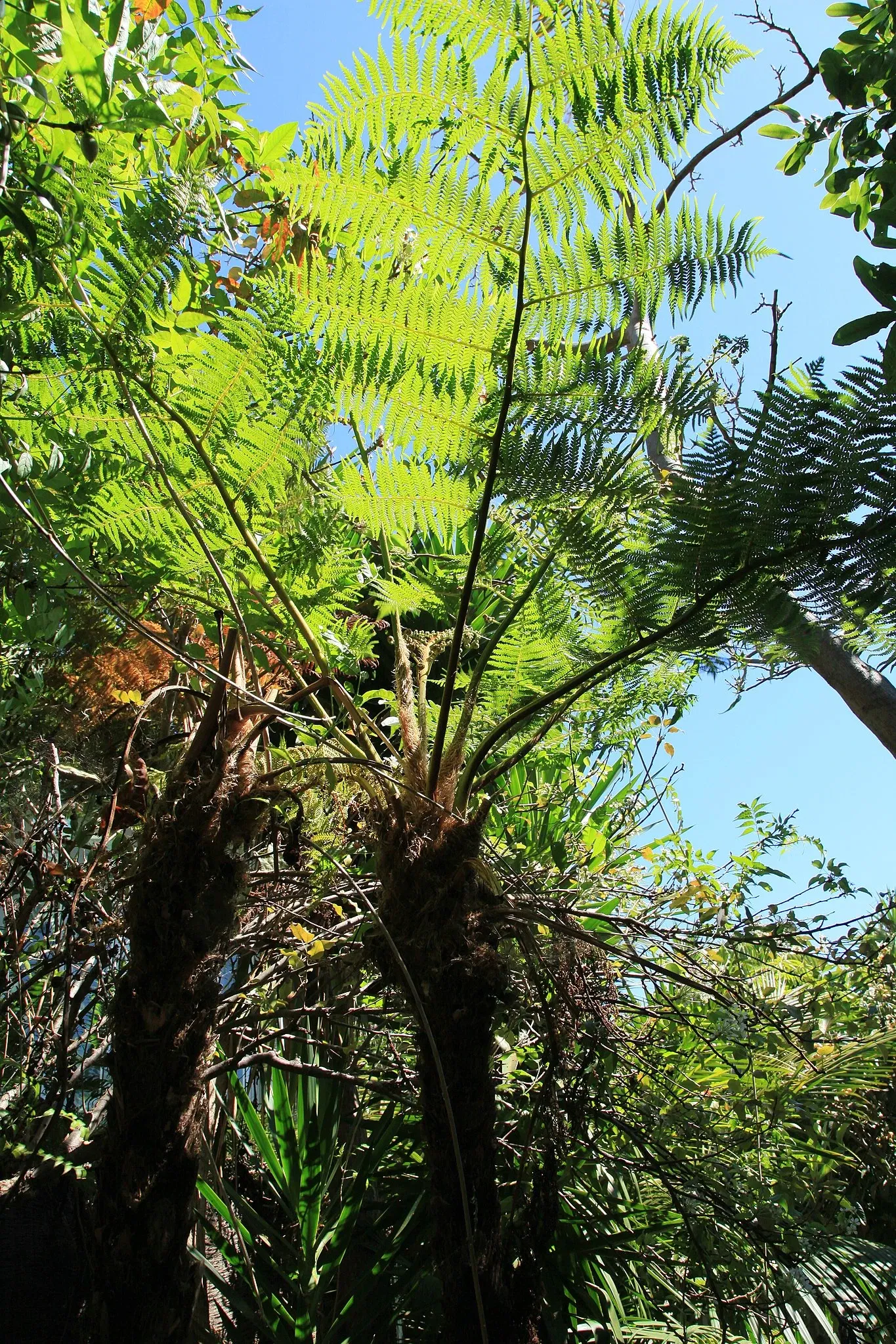 Maroparque Island of La Palma