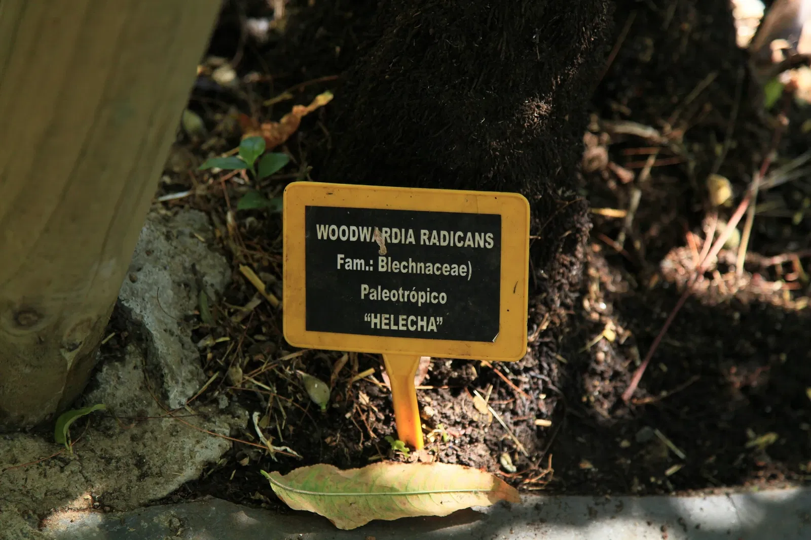 Maroparque Isla de La Palma