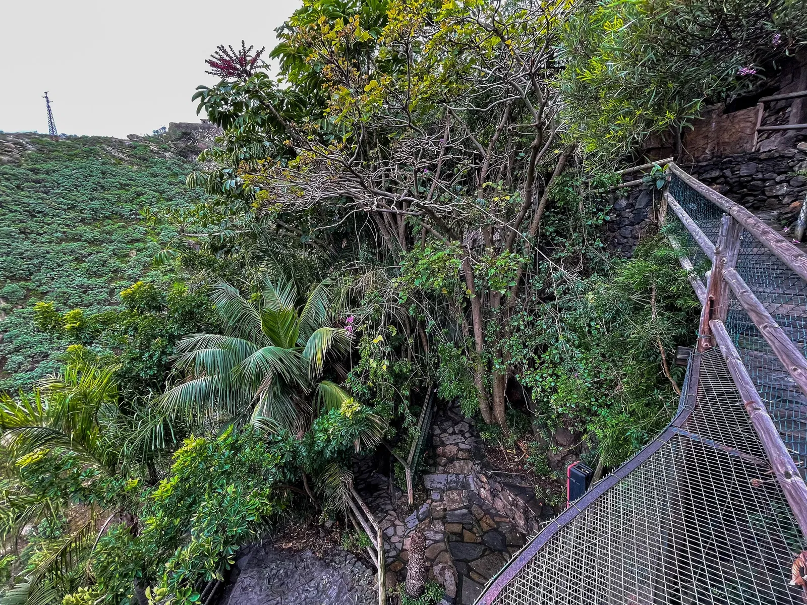 Maroparque Island of La Palma