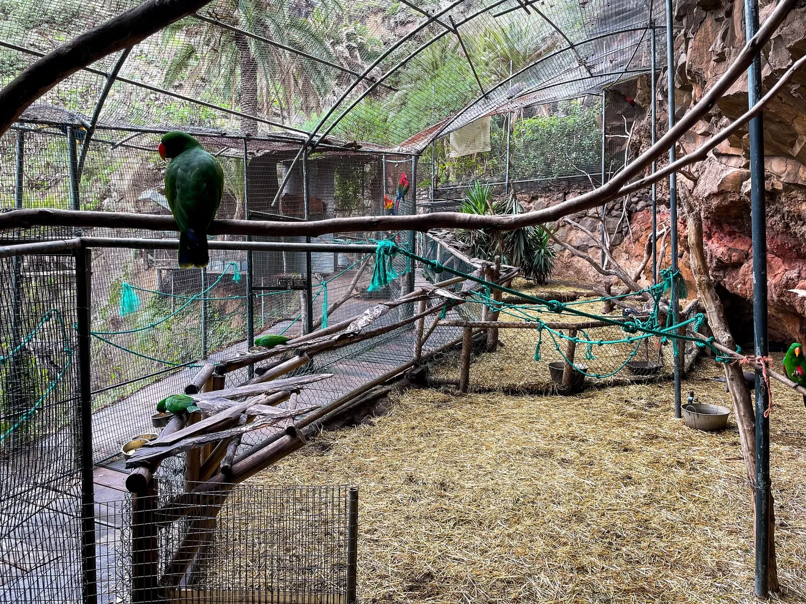 Maroparque Island of La Palma