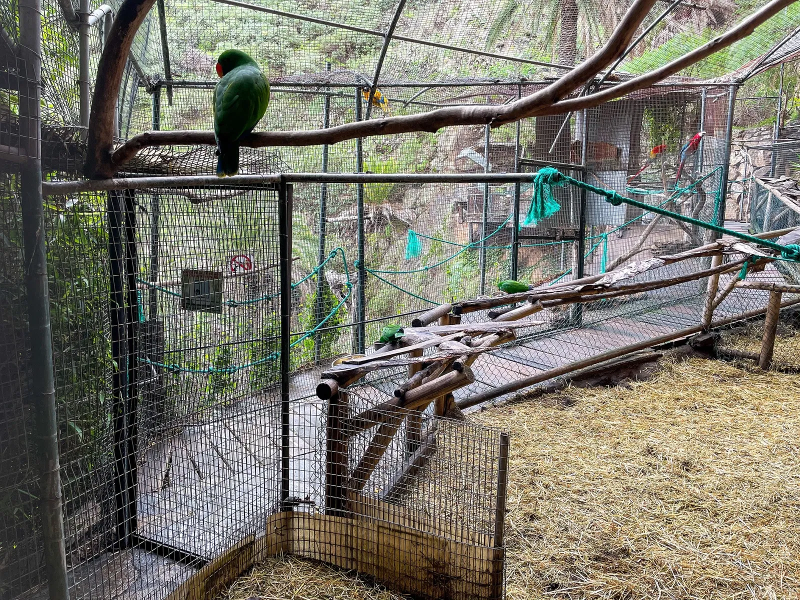 Maroparque Island of La Palma