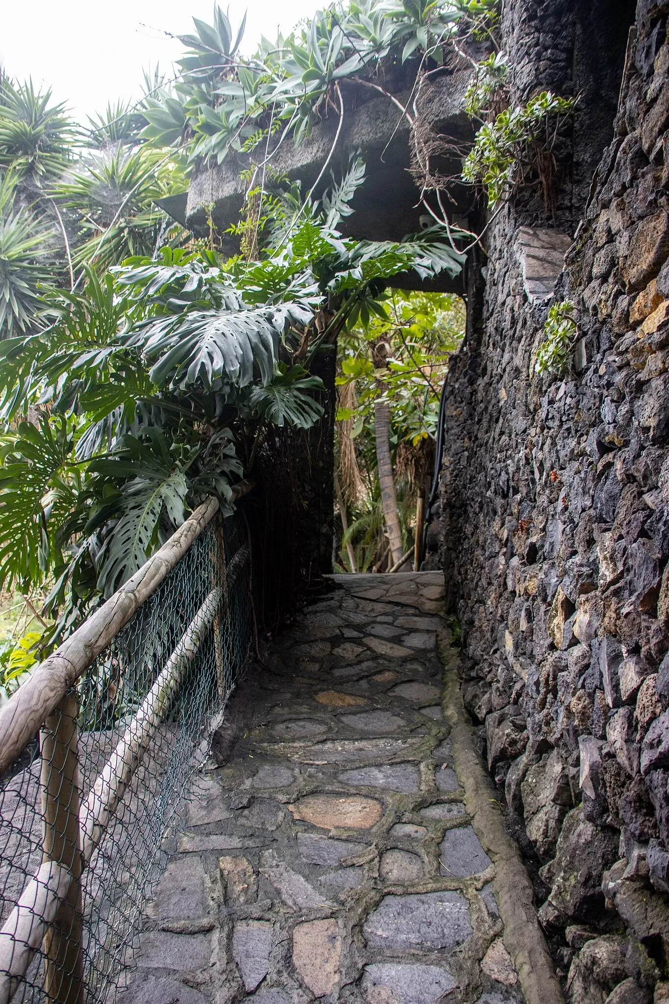 Maroparque Island of La Palma