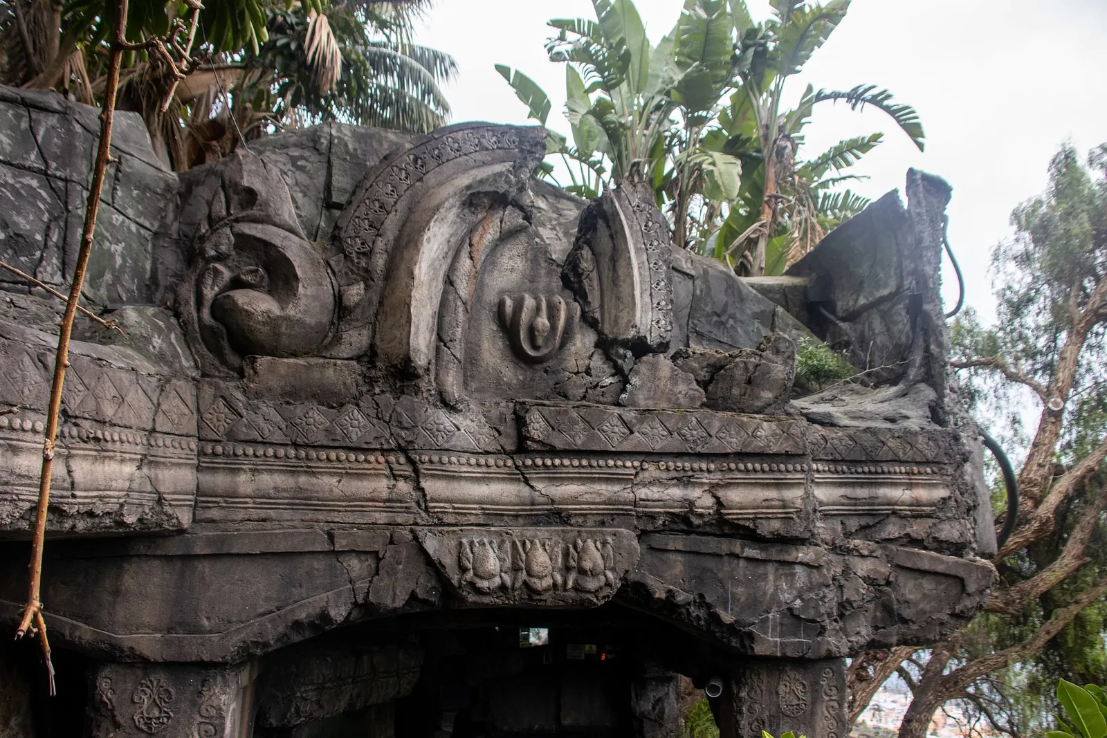 Maroparque Island of La Palma