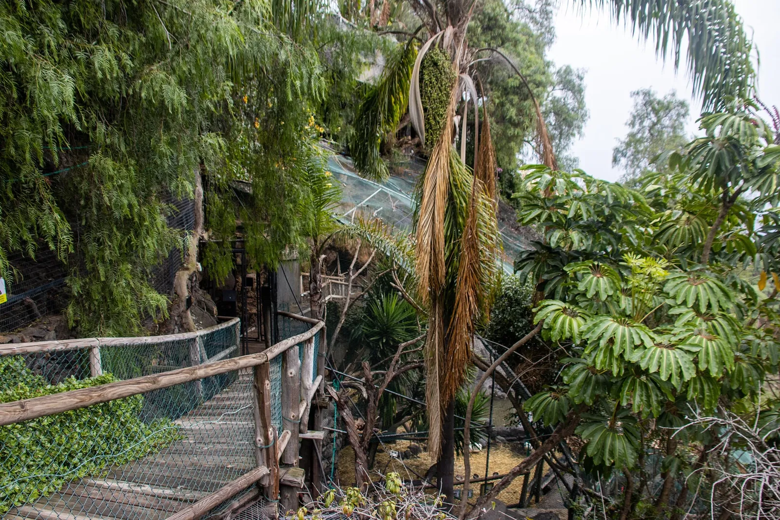 Maroparque Isla de La Palma