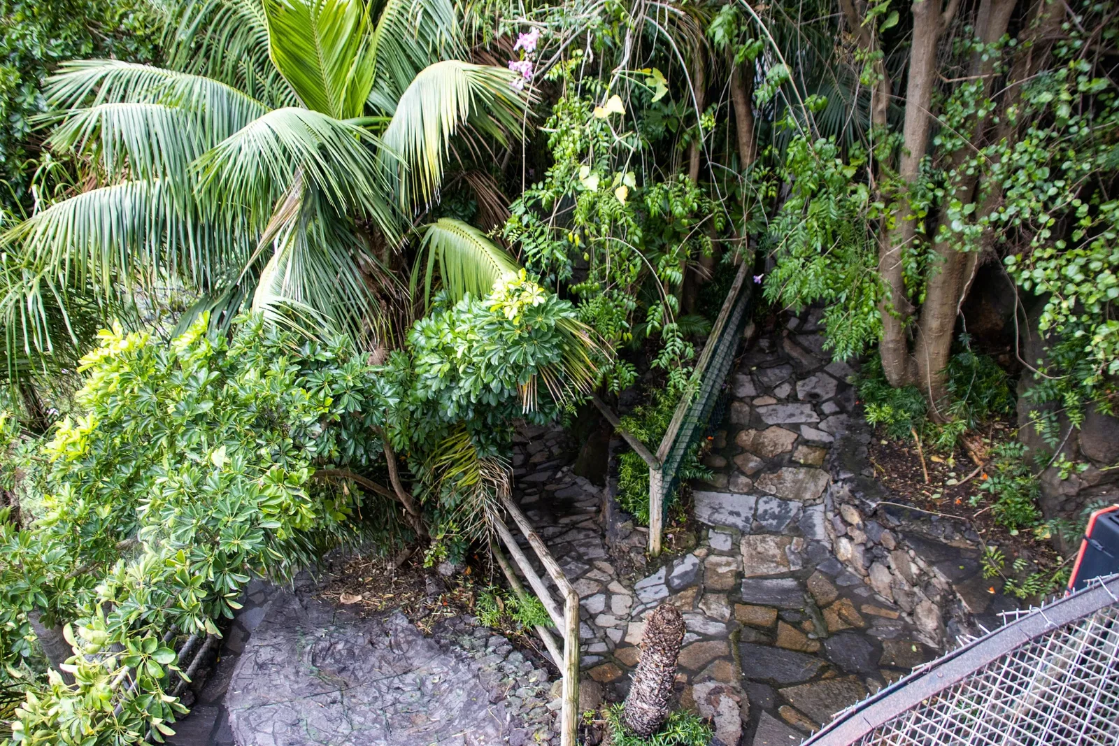 Maroparque Isla de La Palma